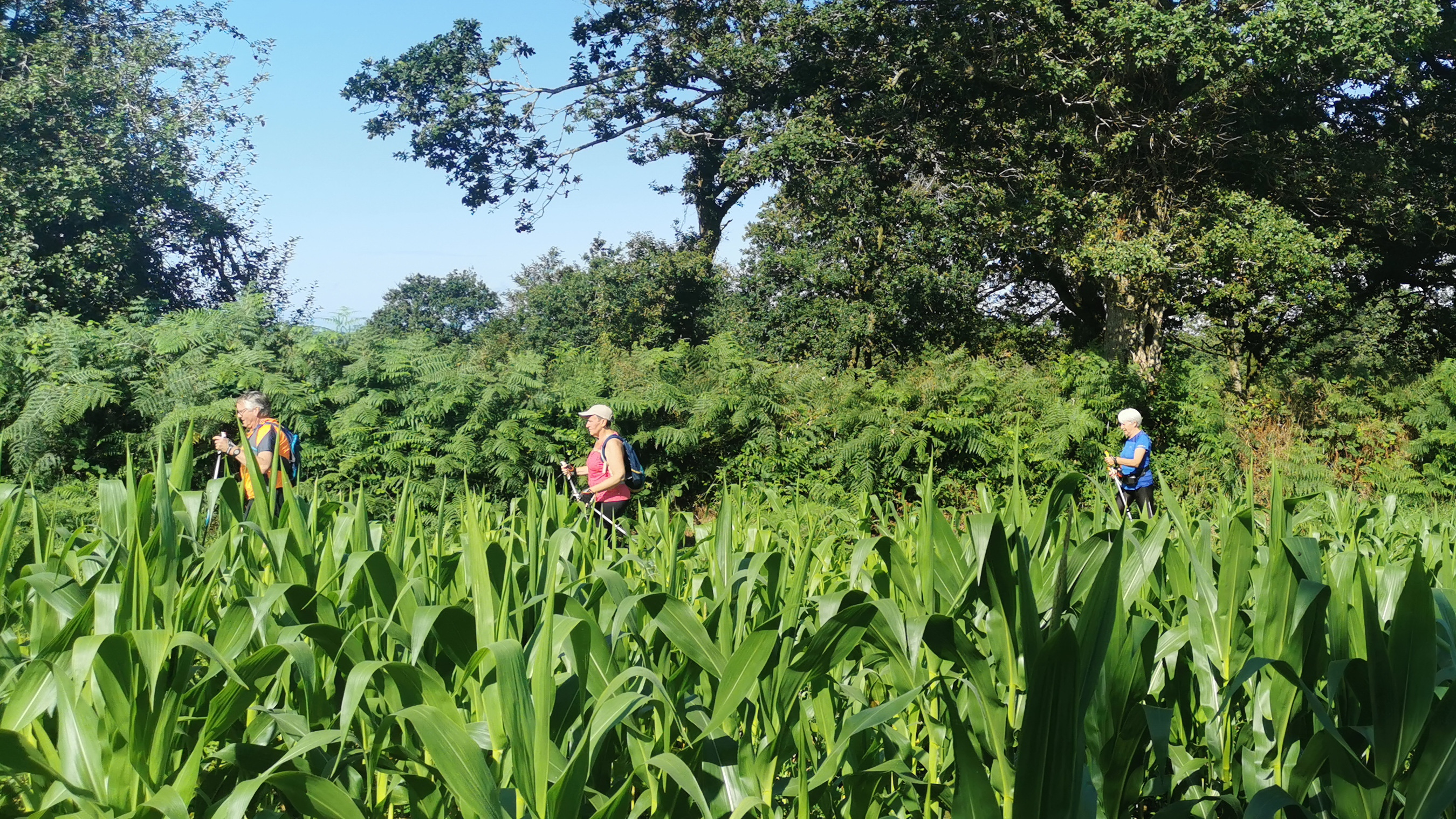 19-IMG_20210812_110747