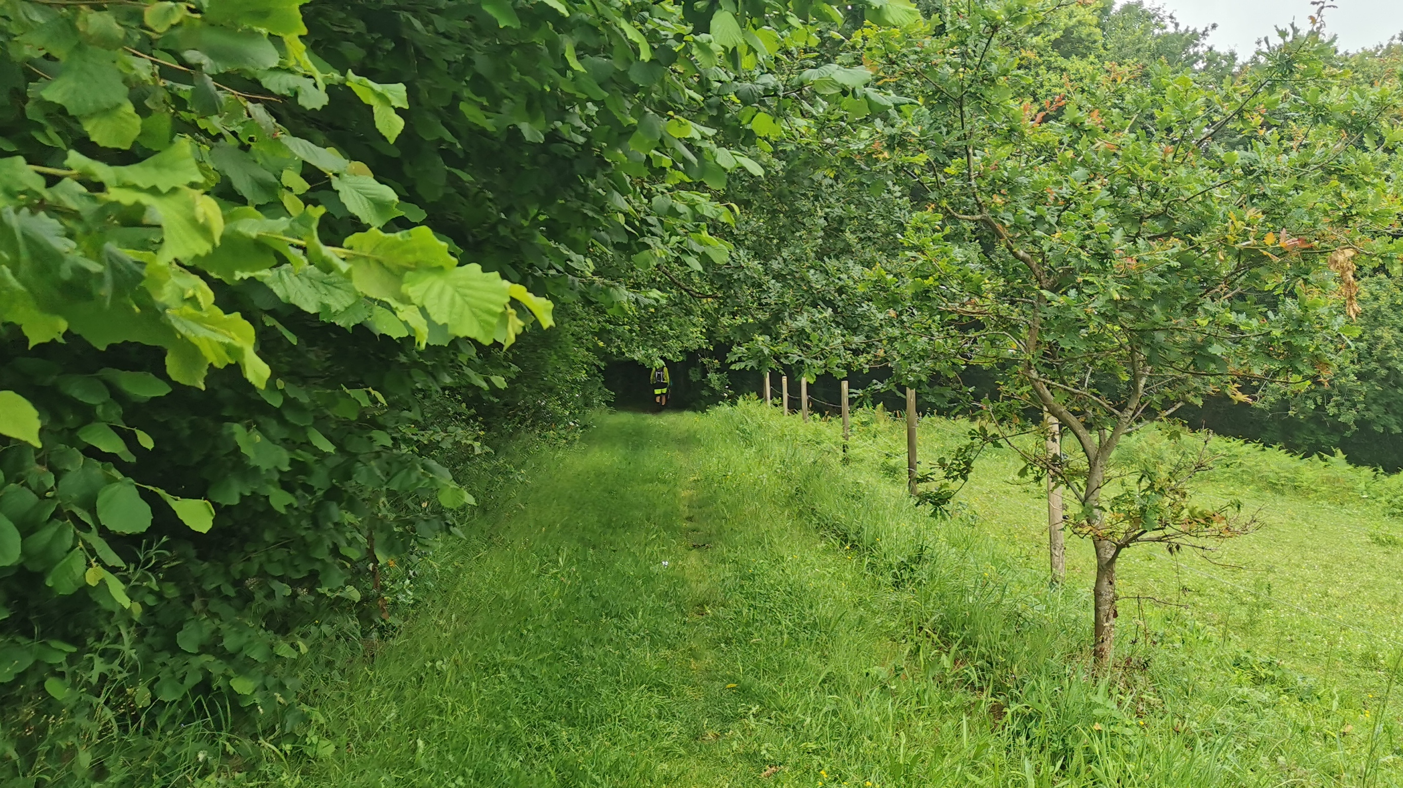 151-IMG_20210620_113703