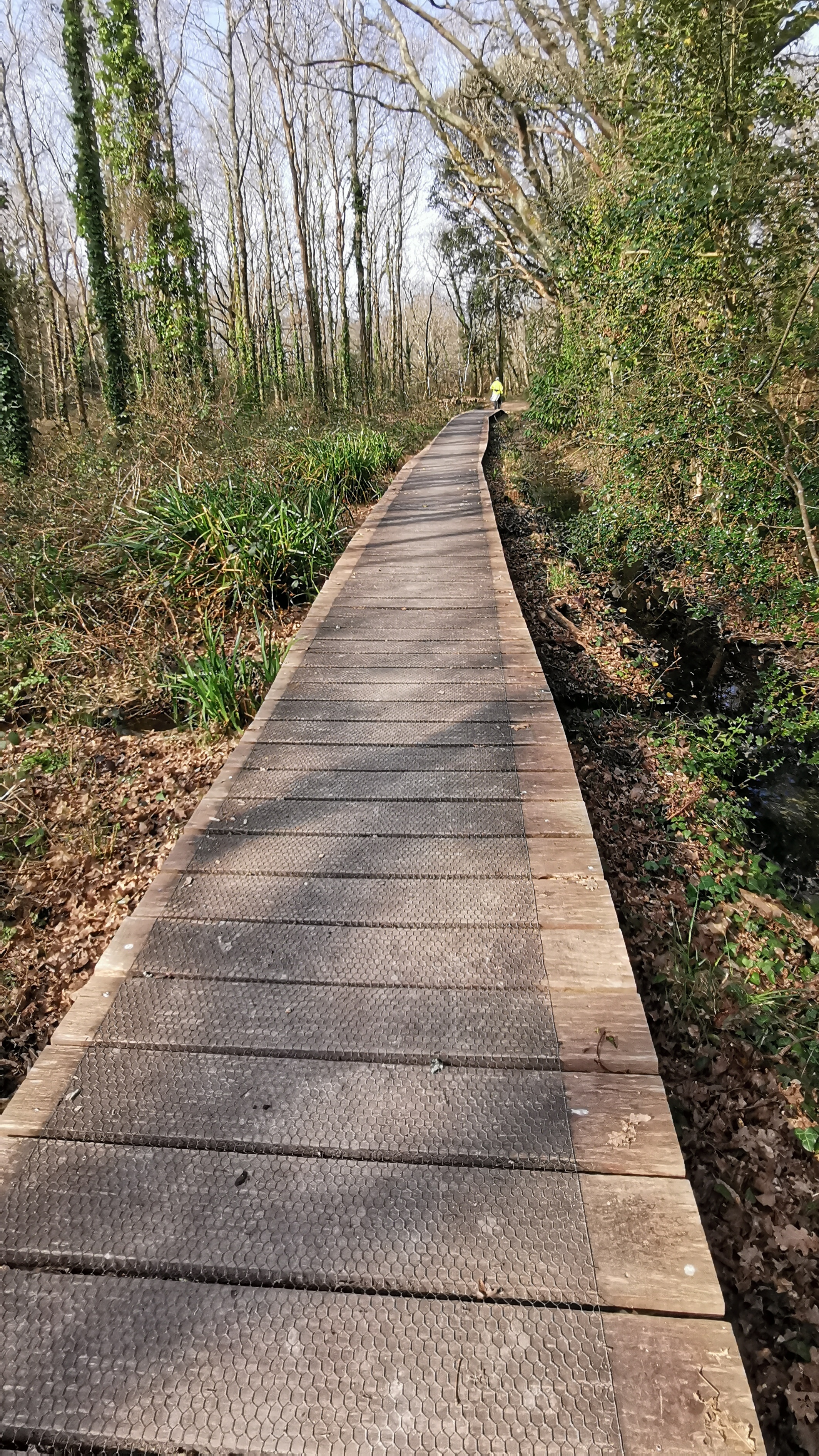 38-IMG_20210309_111256