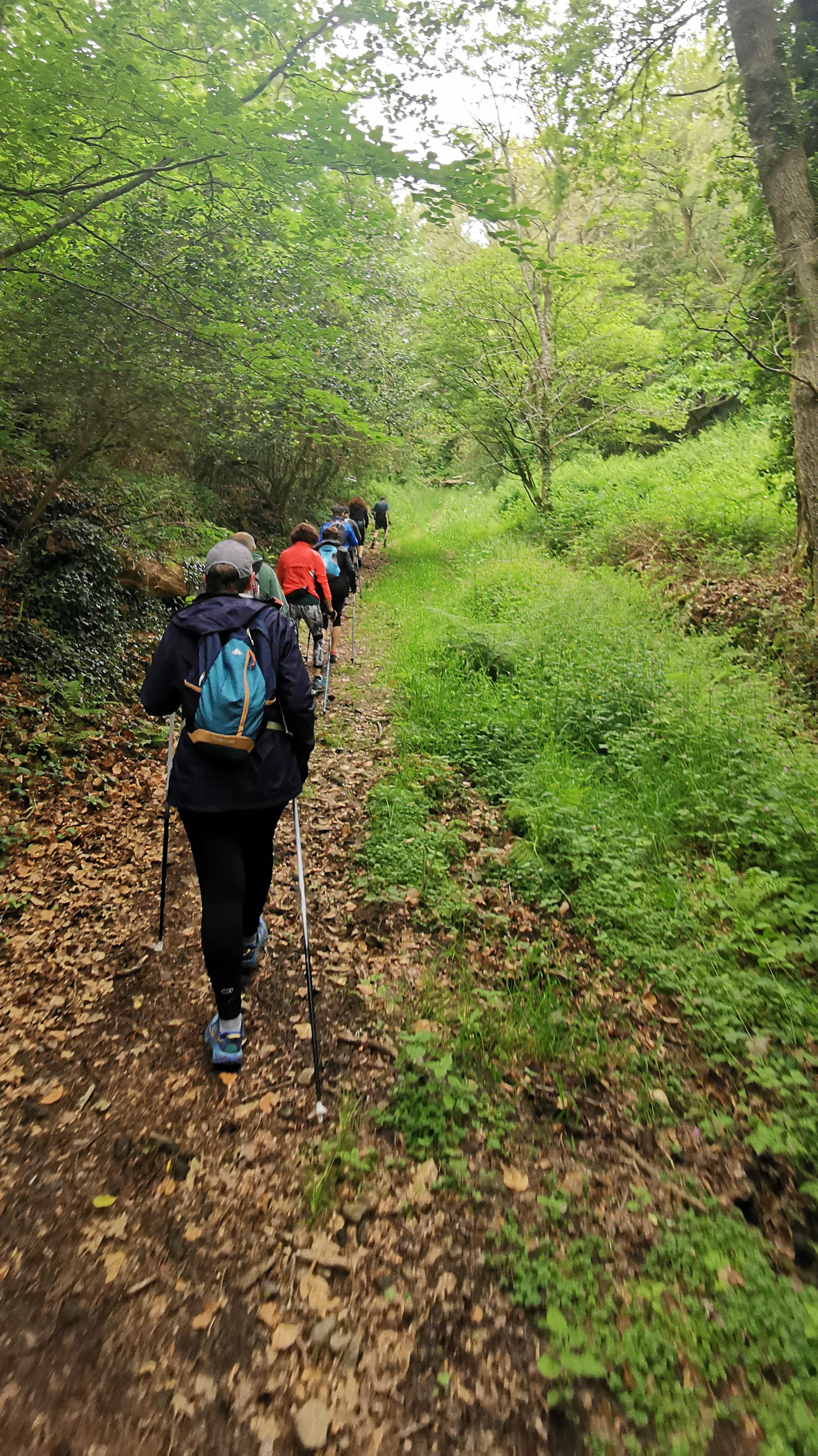 026-IMG_20210606_095357_1