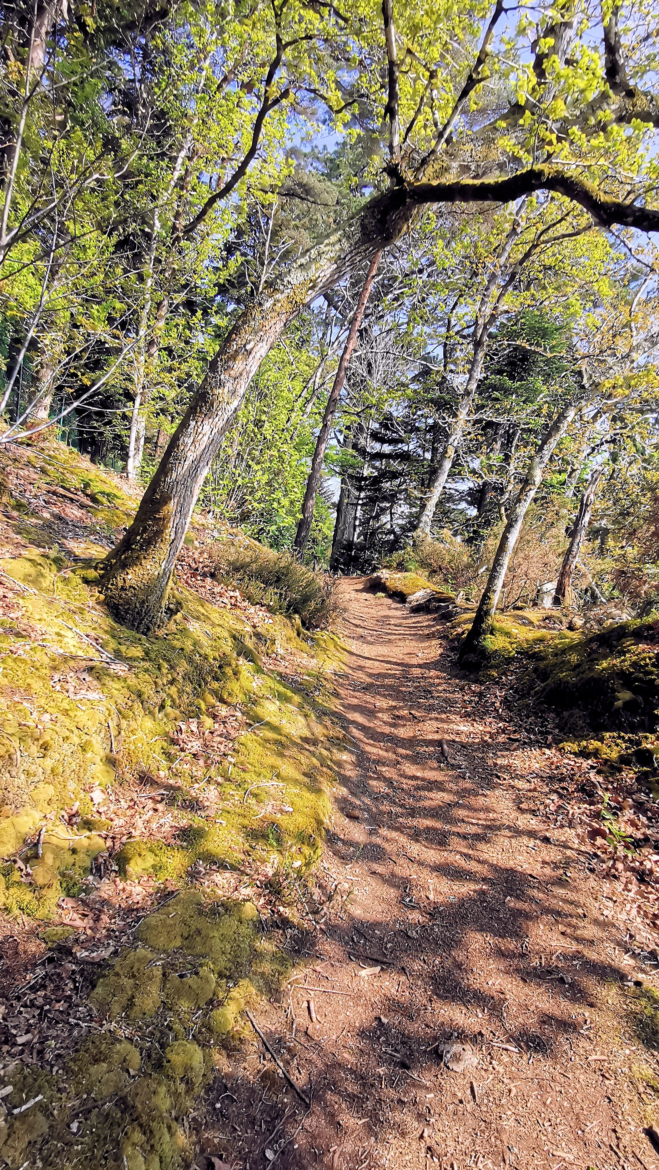 52-IMG_20210422_111248