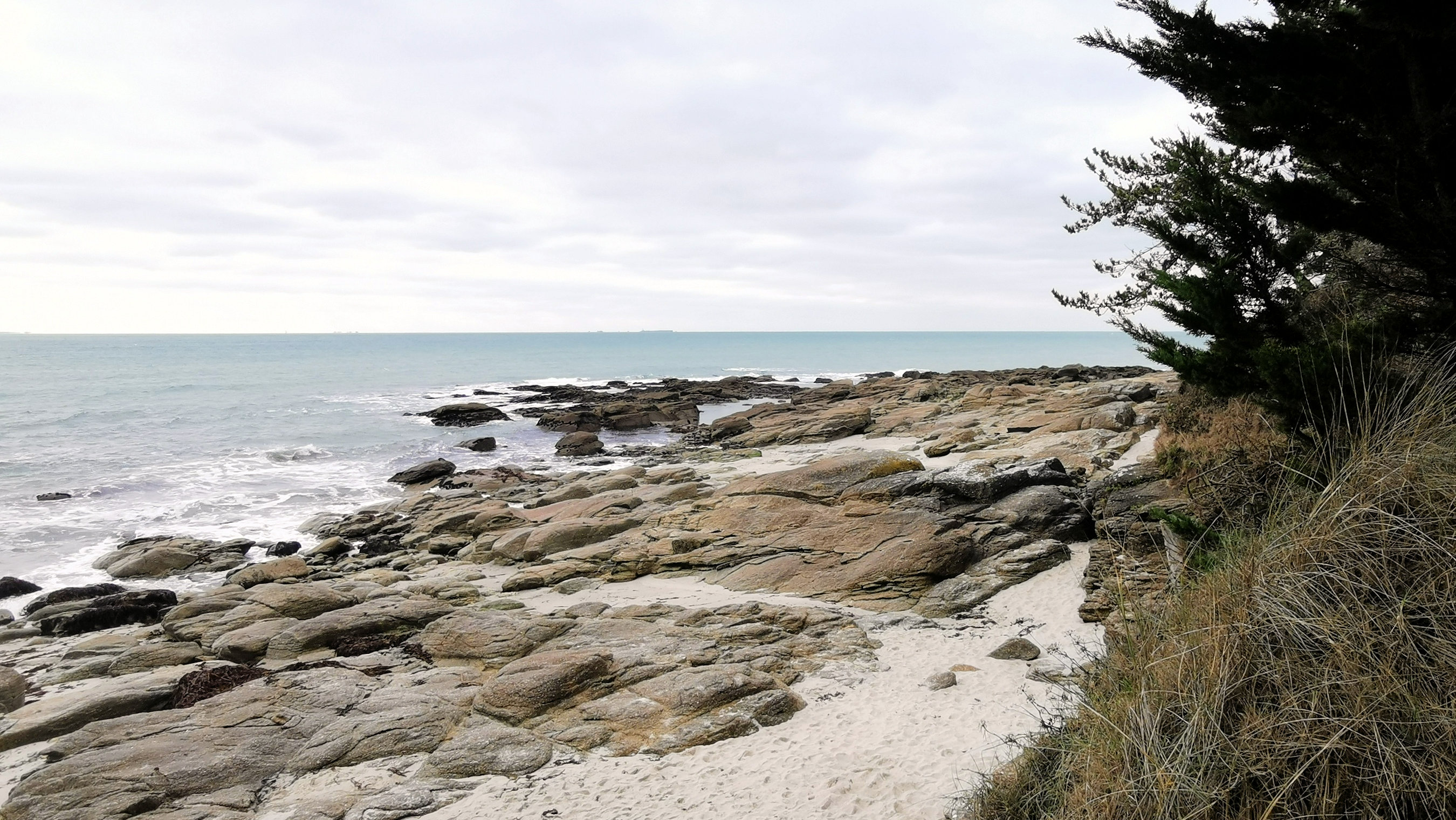 11-IMG_20210208_104509