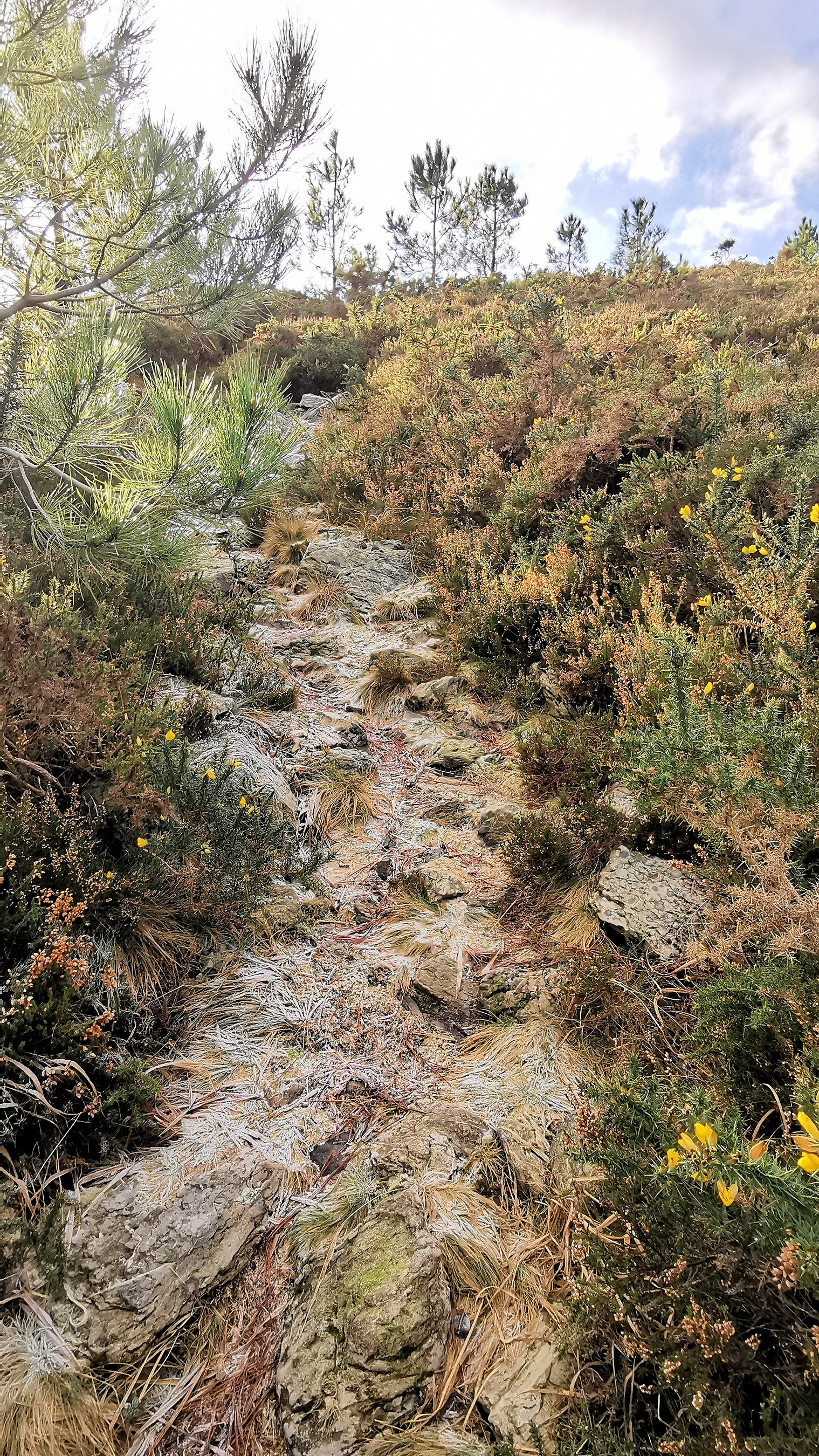 094-IMG_20210110_105748