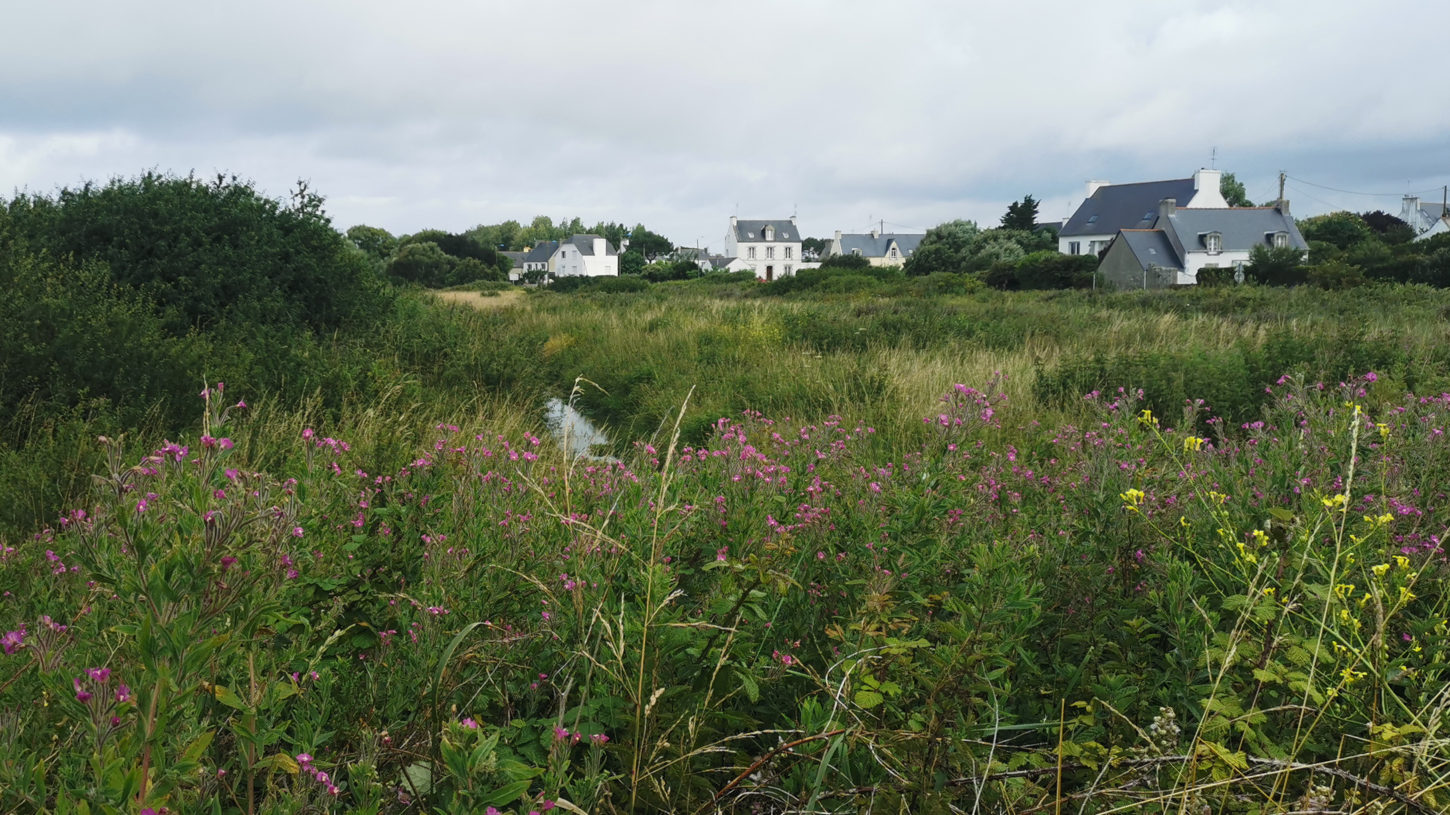 47-IMG_20210711_111624