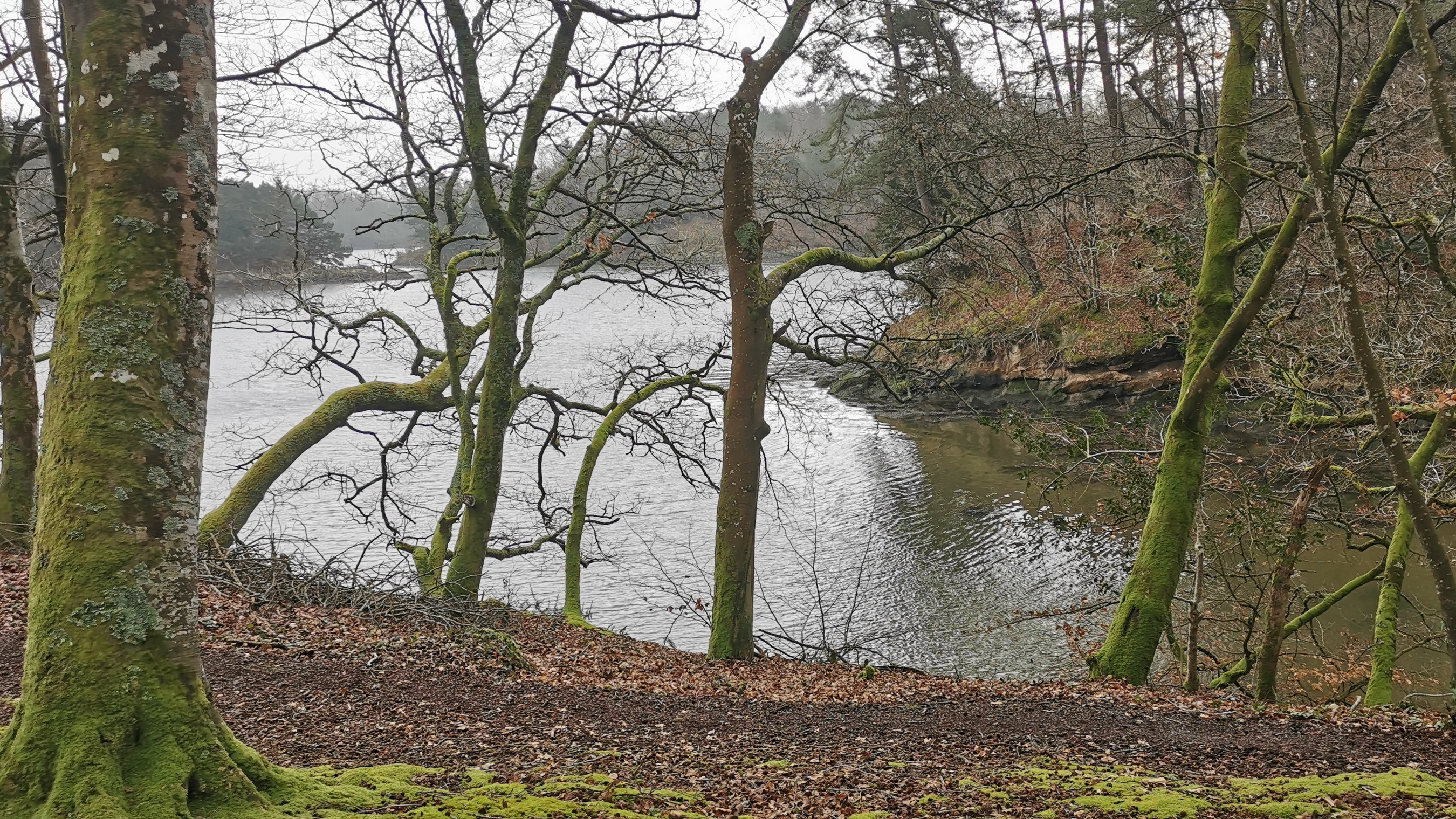 072-IMG_20210220_111807