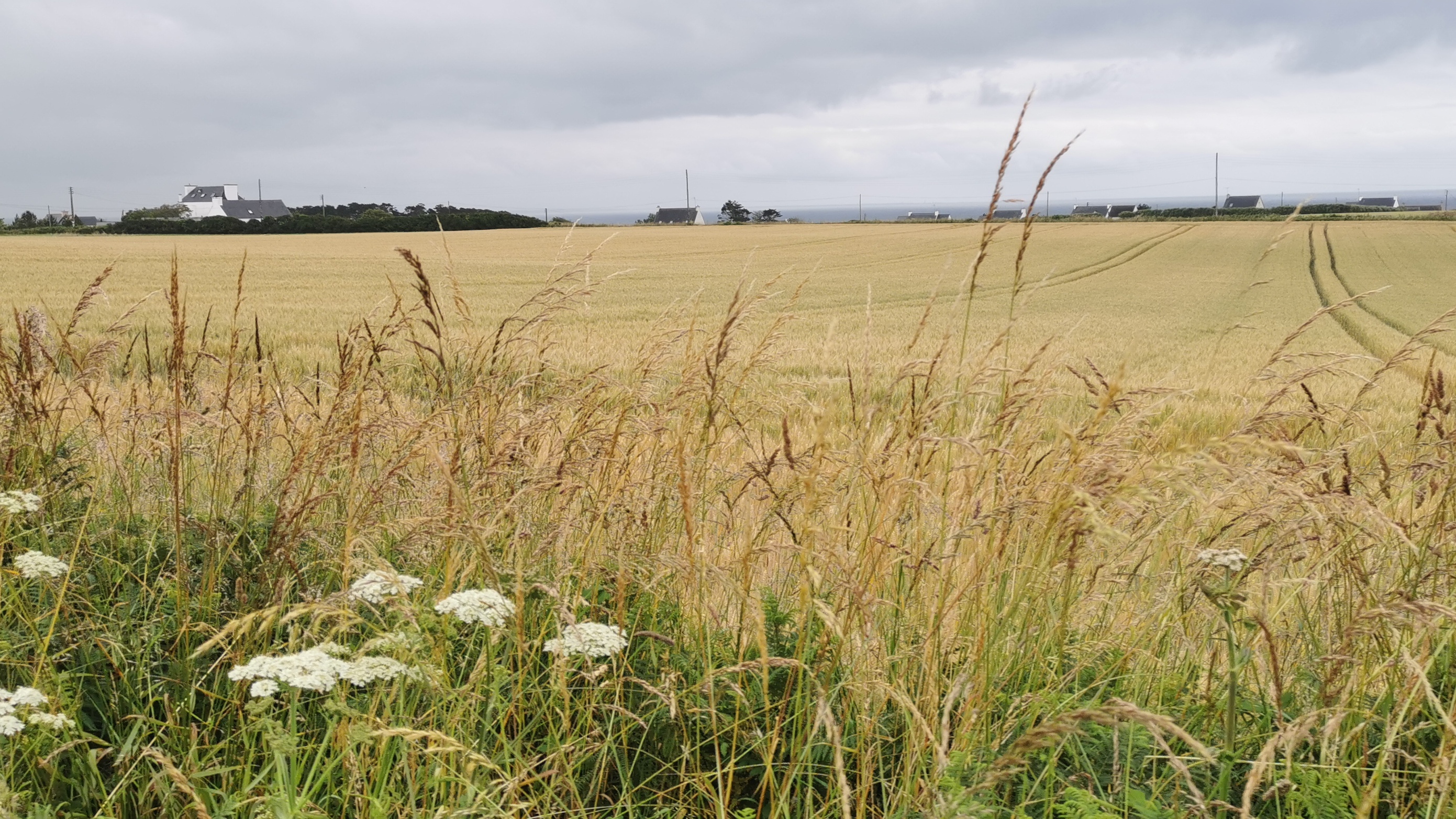 086-IMG_20210620_104259