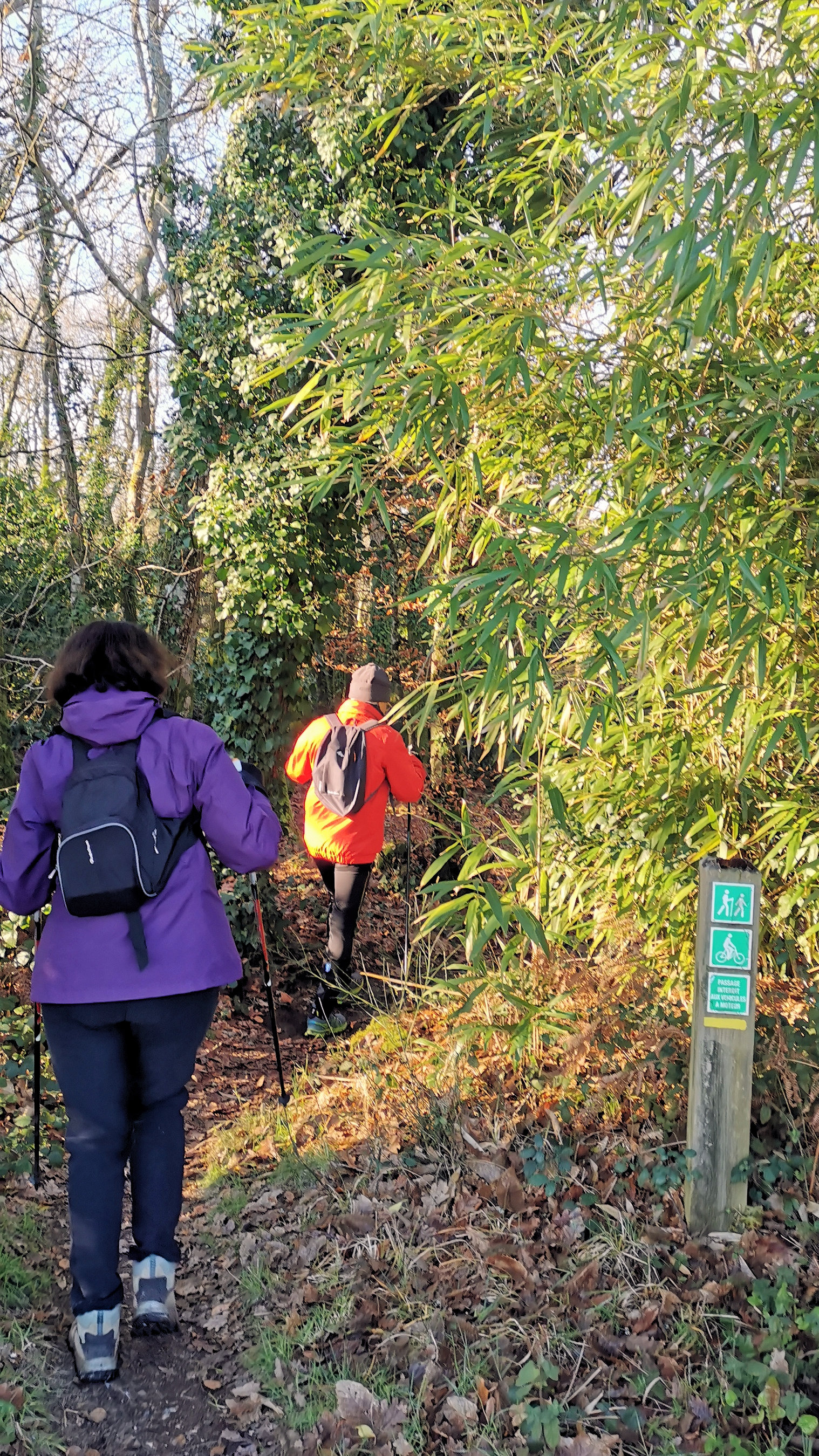 52-IMG_20210109_112230