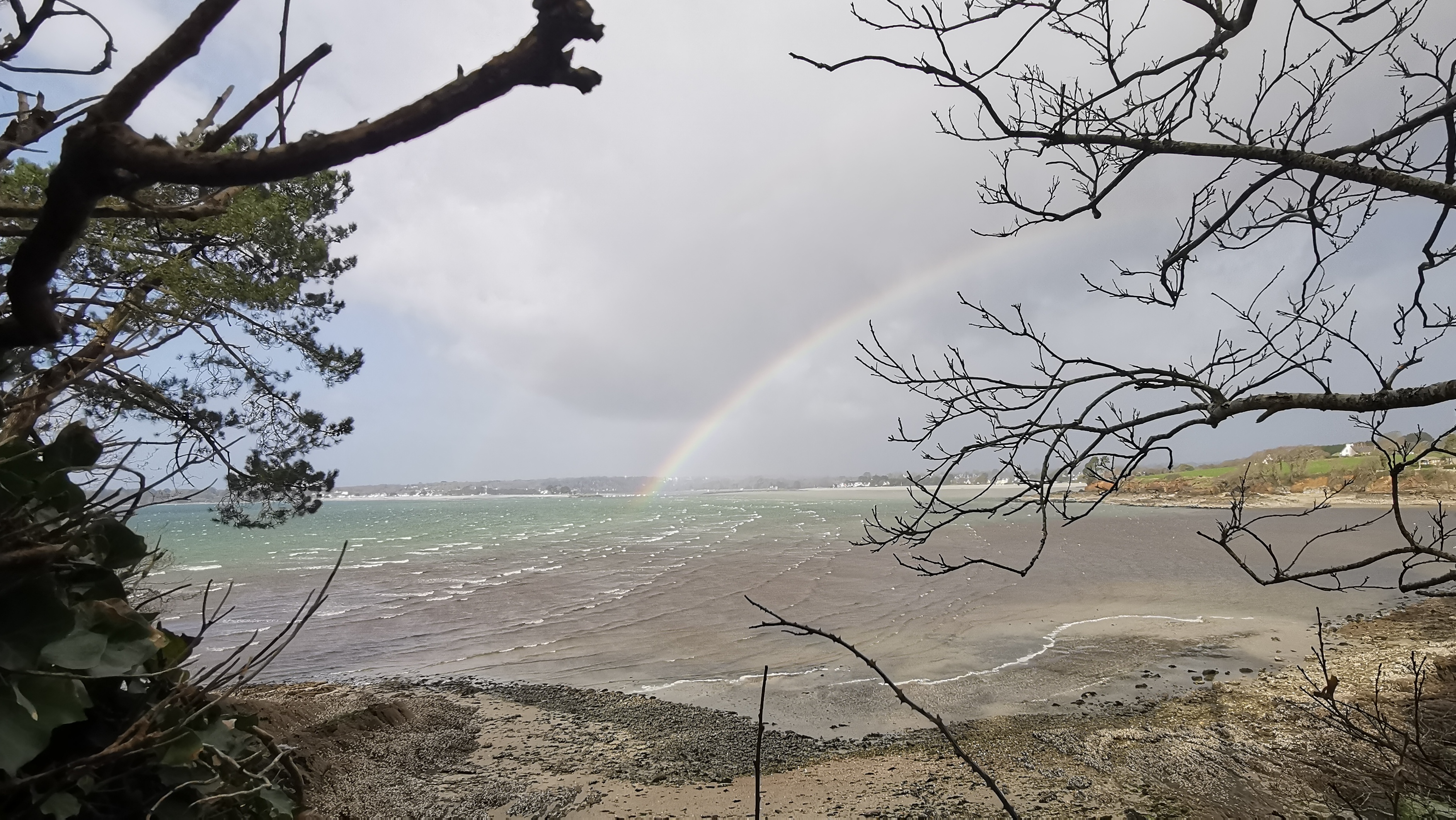 11-IMG_20210311_101913_1