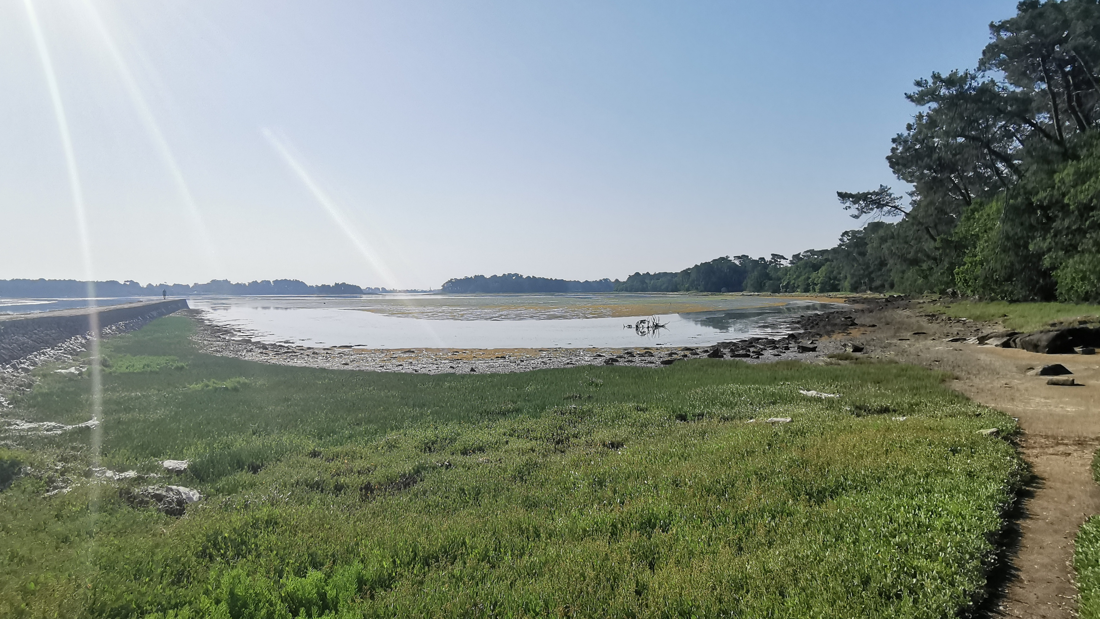 015-IMG_20210718_100028