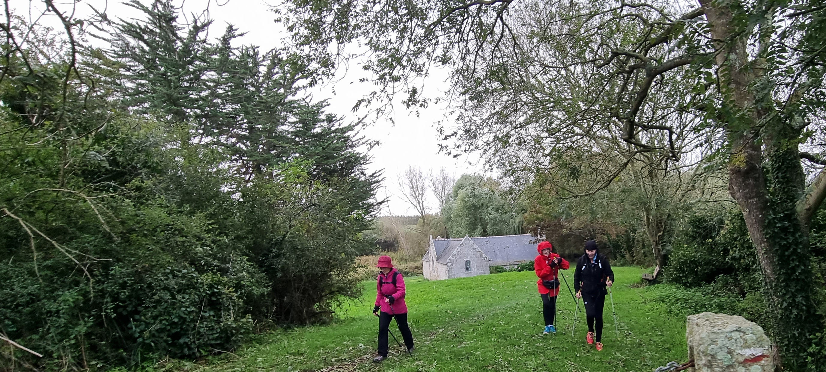 66-20211021_110150(0)