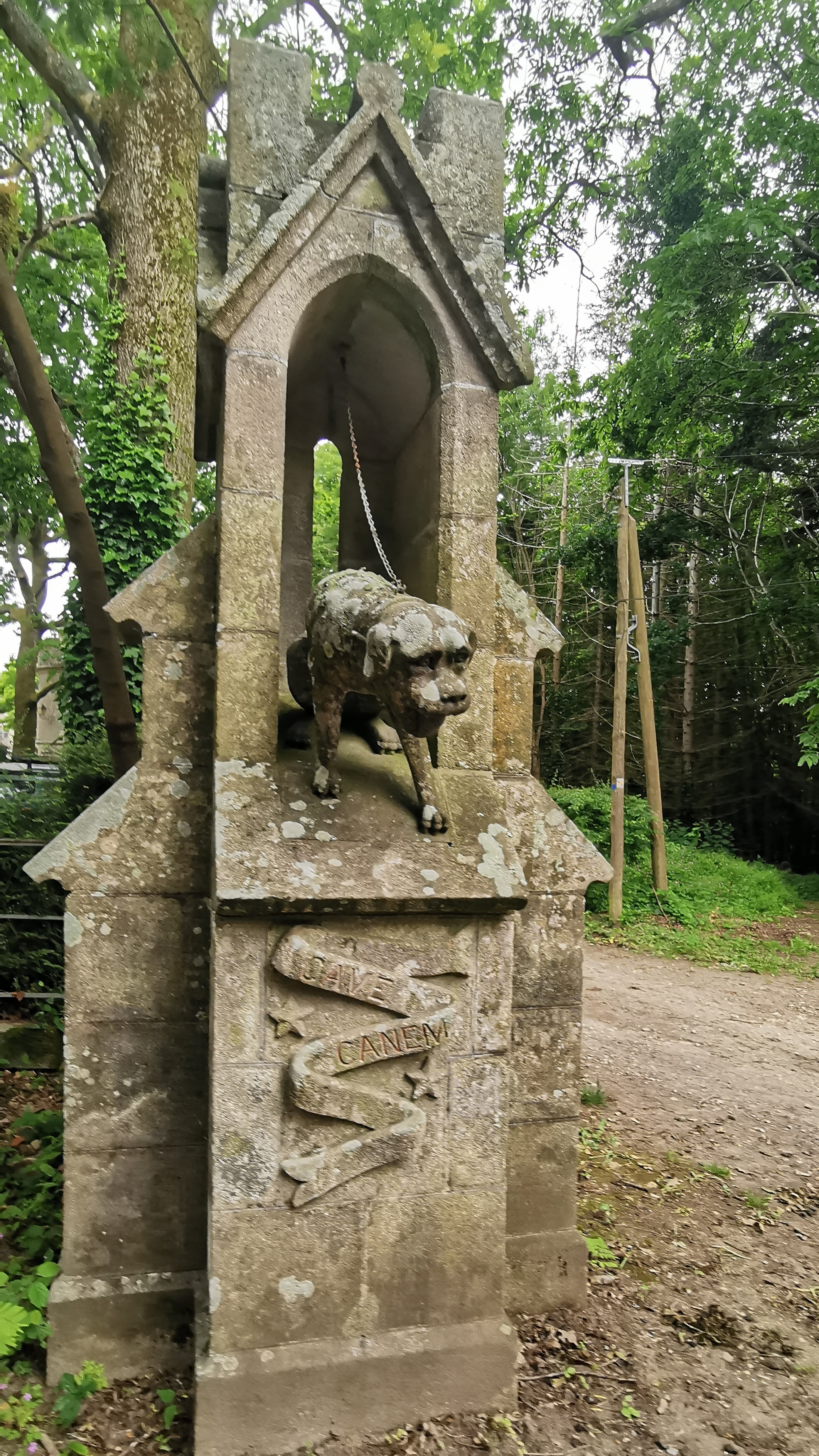 071-IMG_20210606_110140