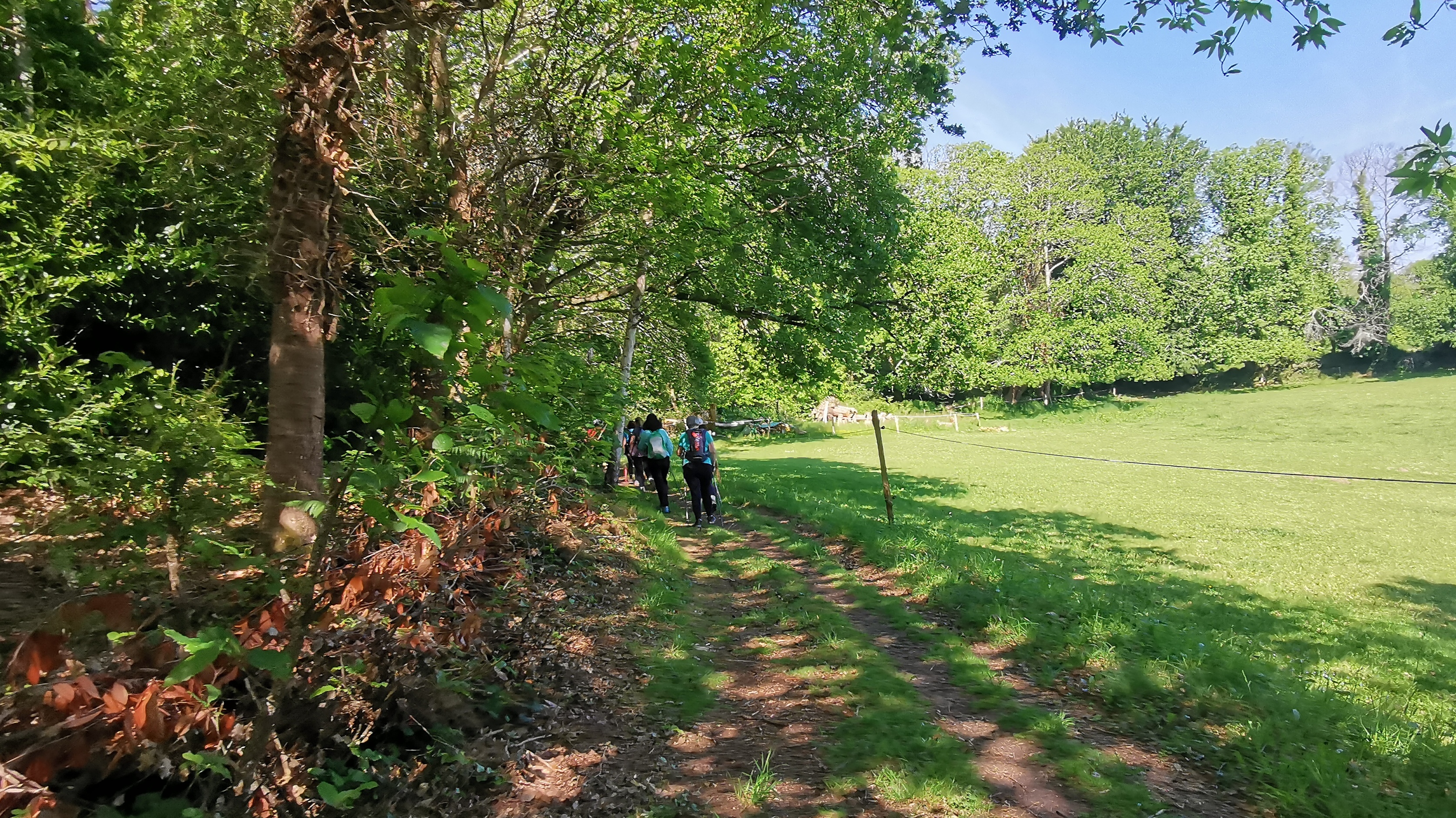 48-IMG_20210531_111450