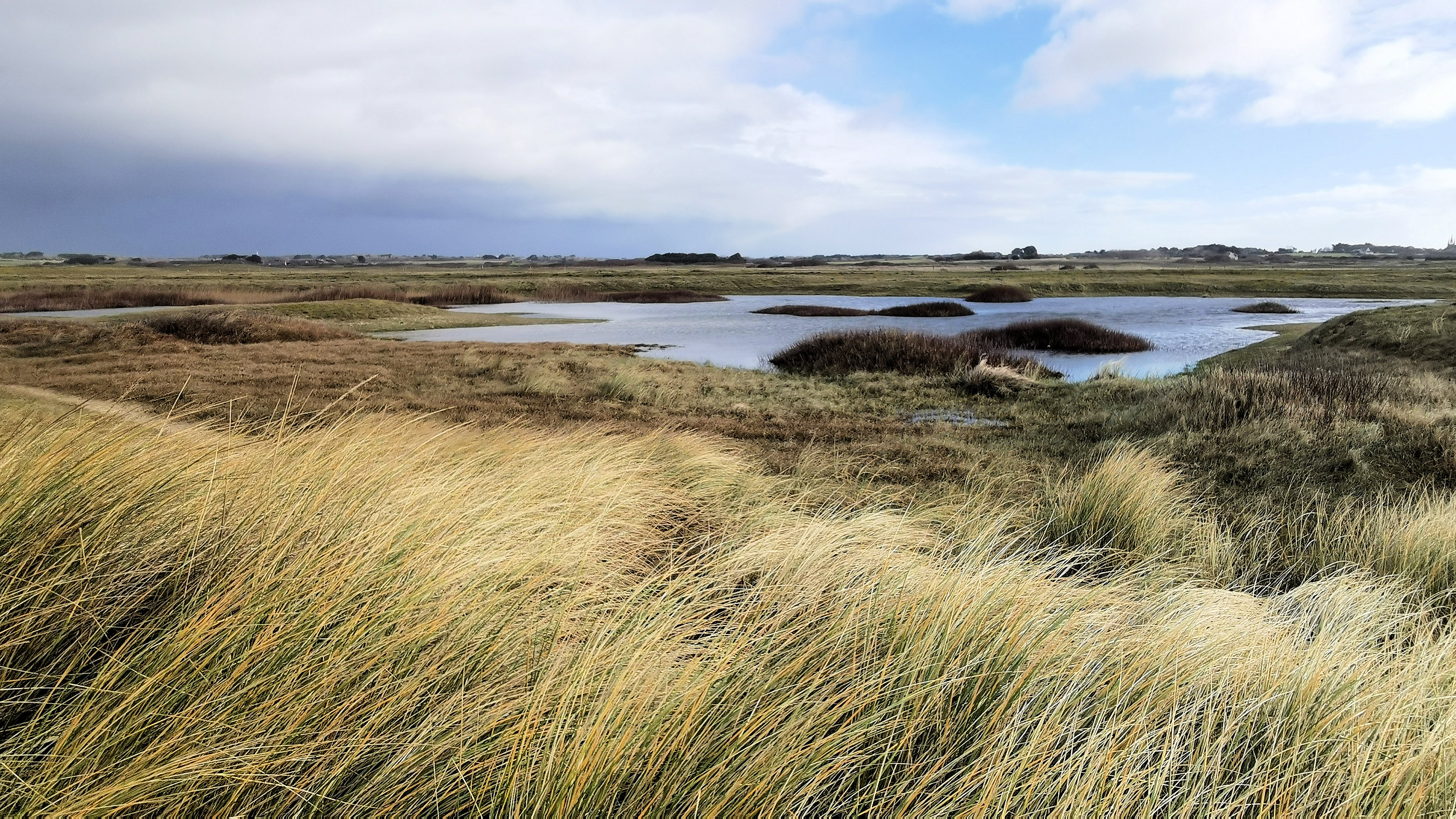 60-IMG_20210124_105608