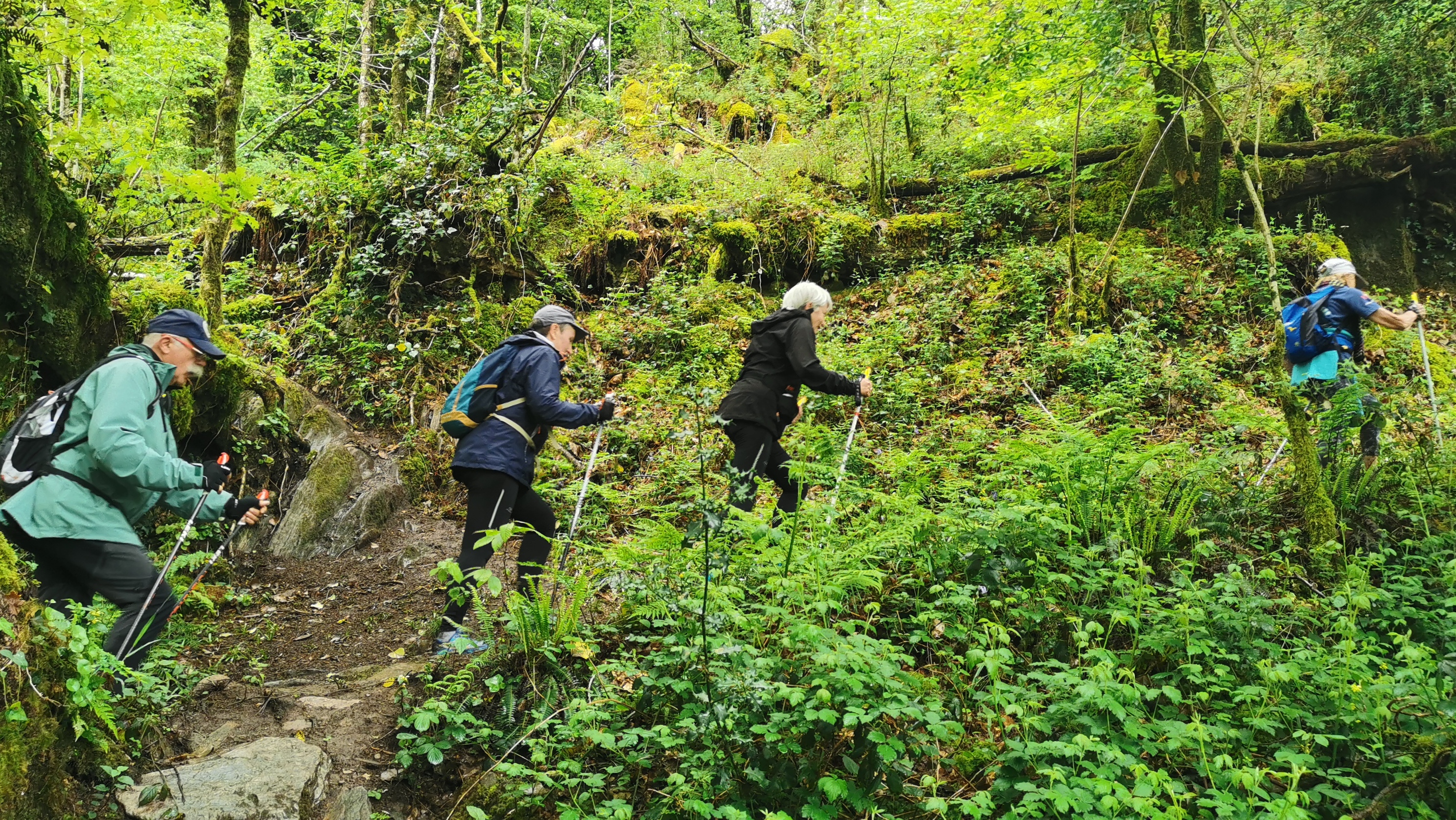 108-IMG_20210513_112305