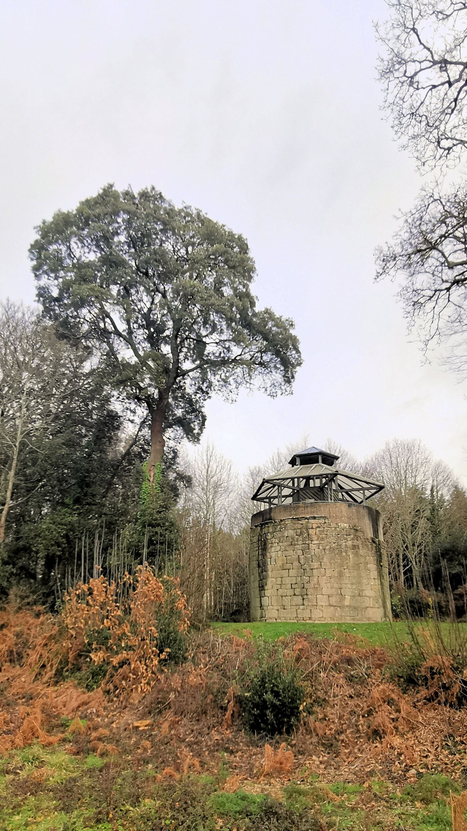 29-IMG_20210118_114640