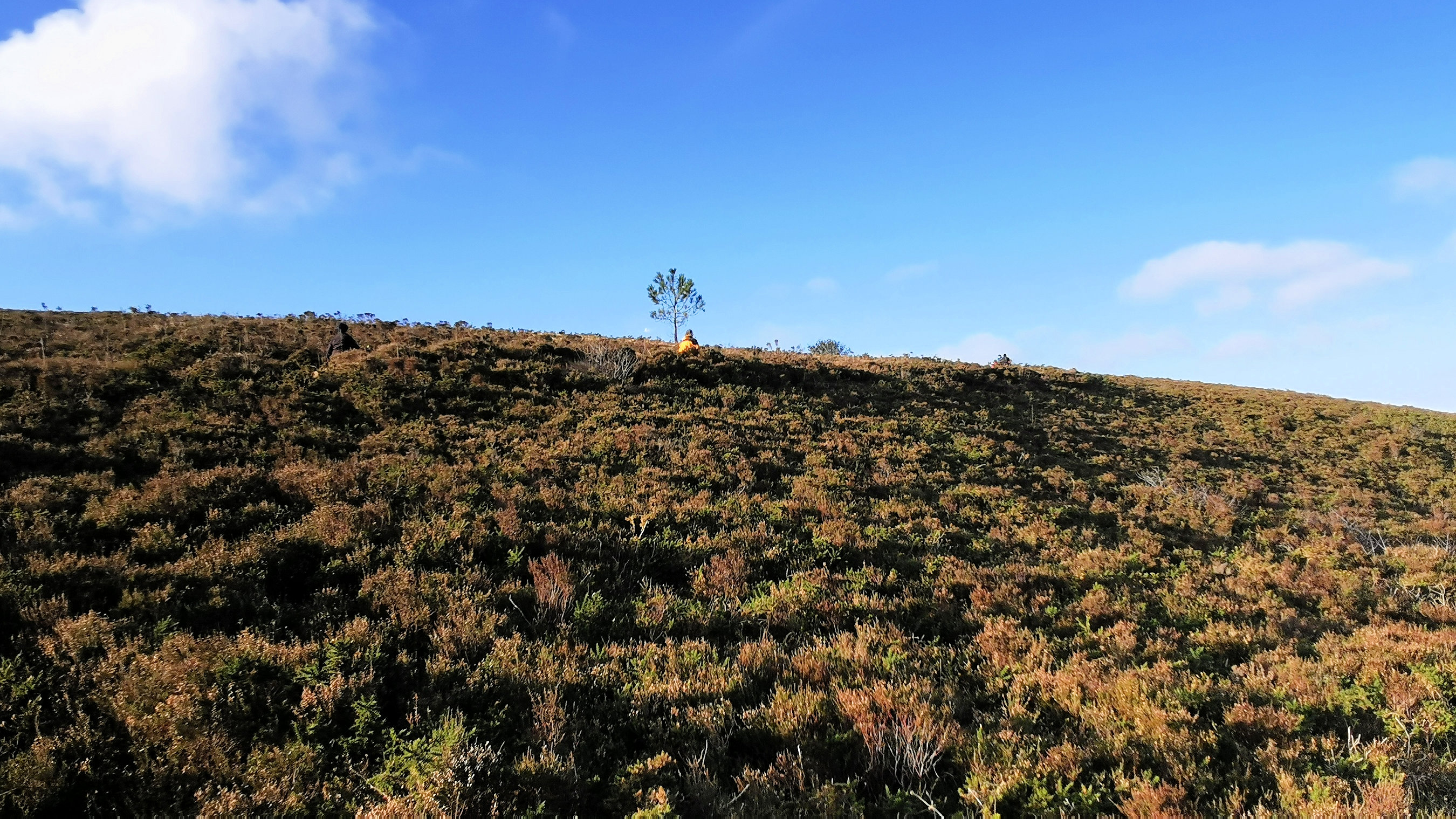 114-IMG_20210110_111016