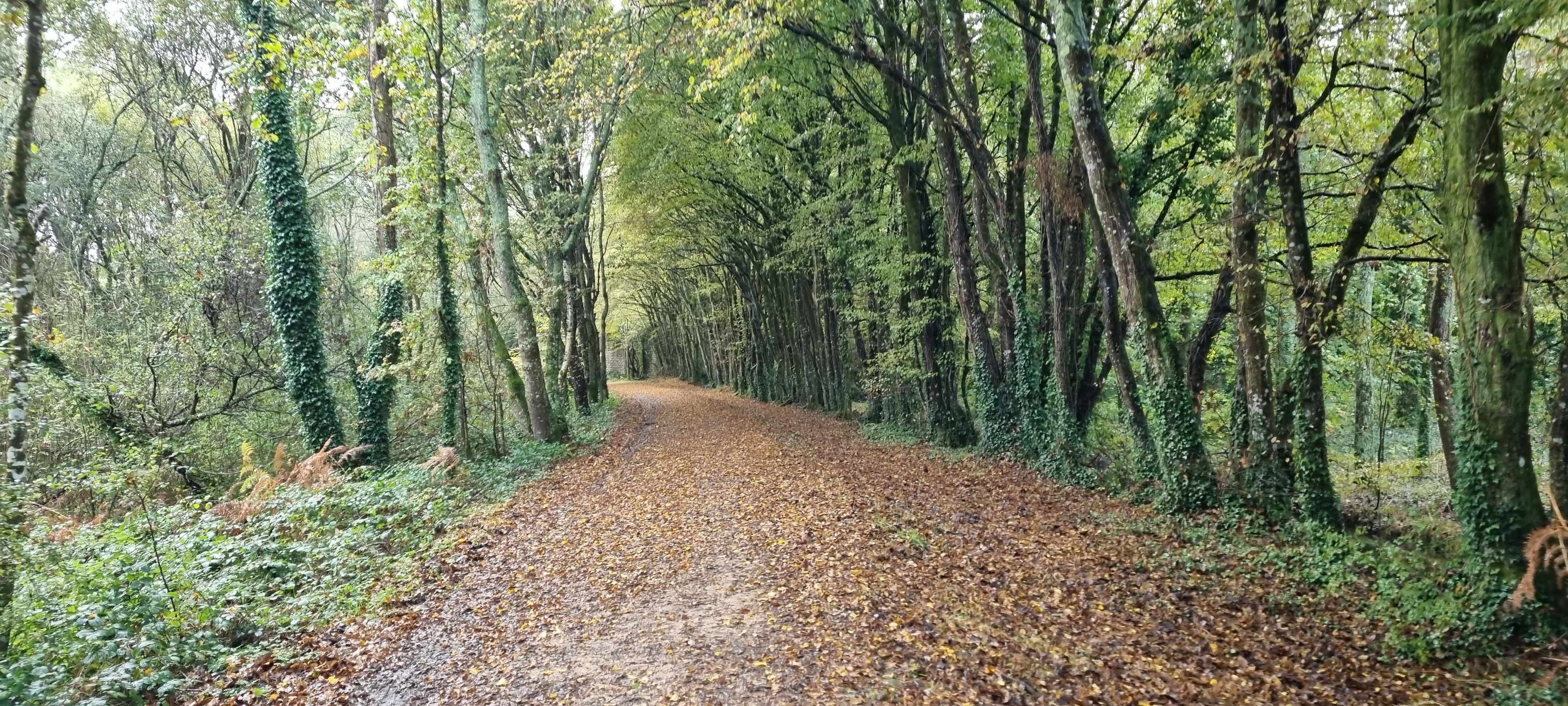 33-20211109_101553(0)