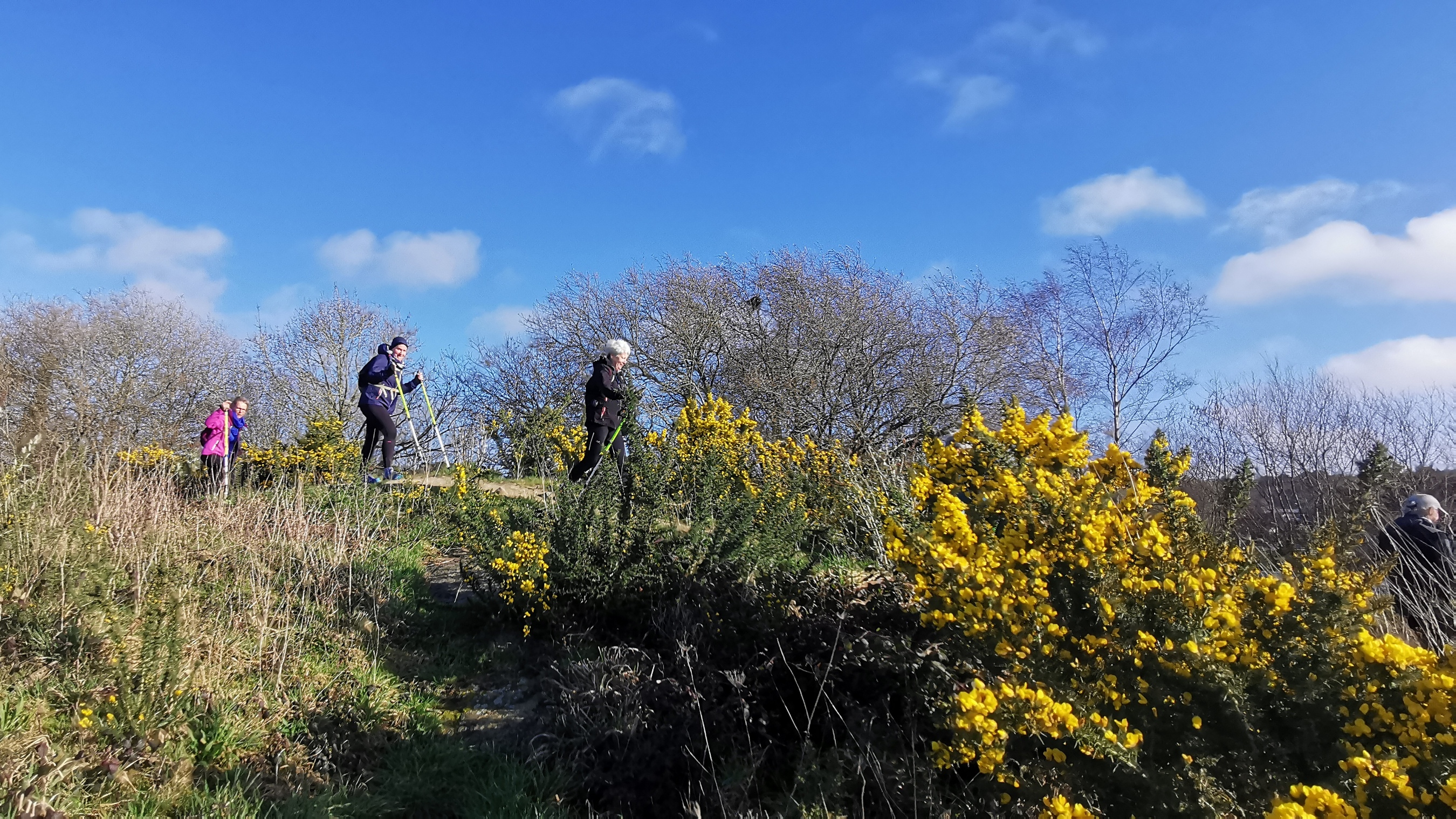 37-IMG_20210223_103504