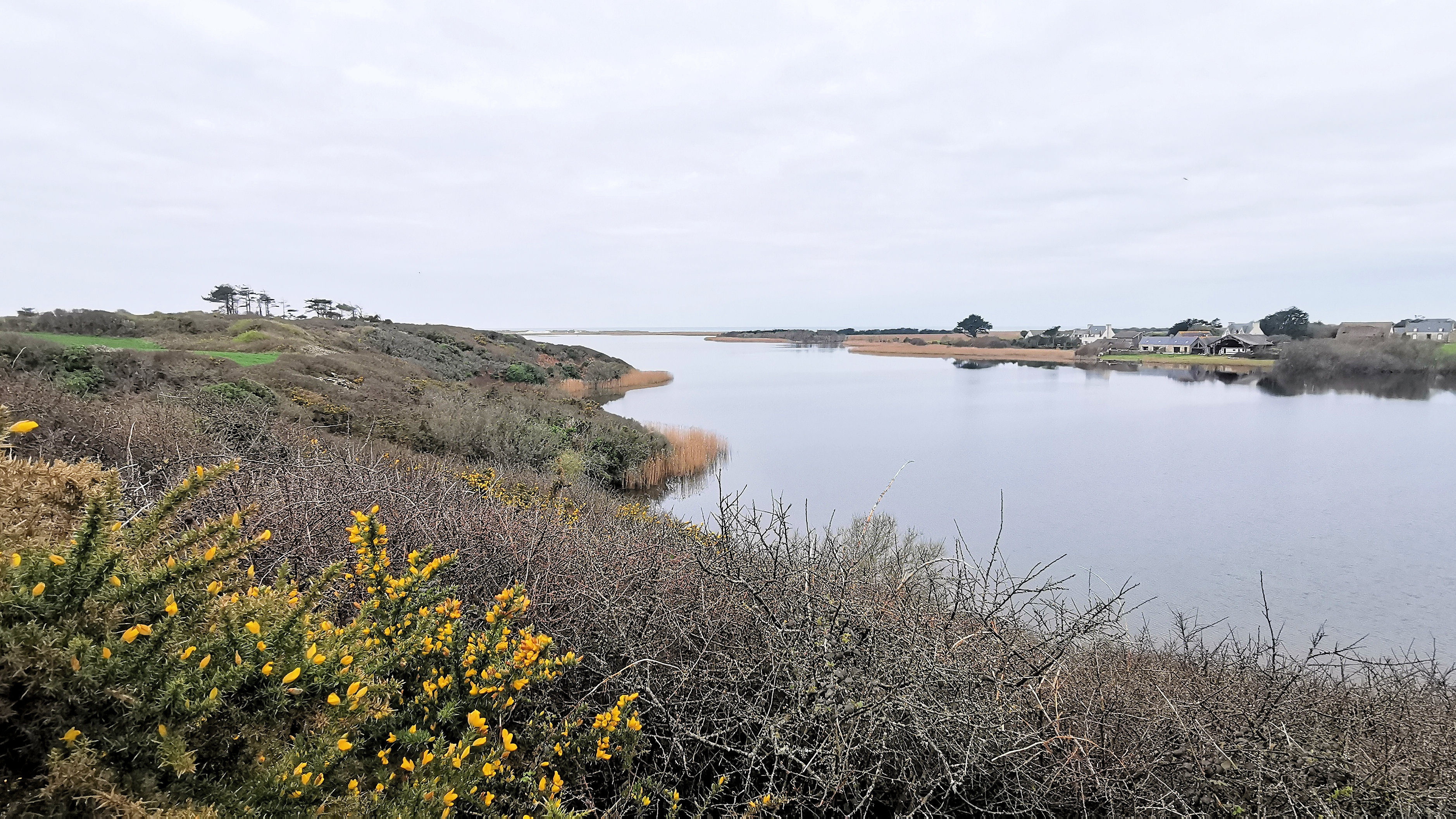 16-IMG_20210321_095958