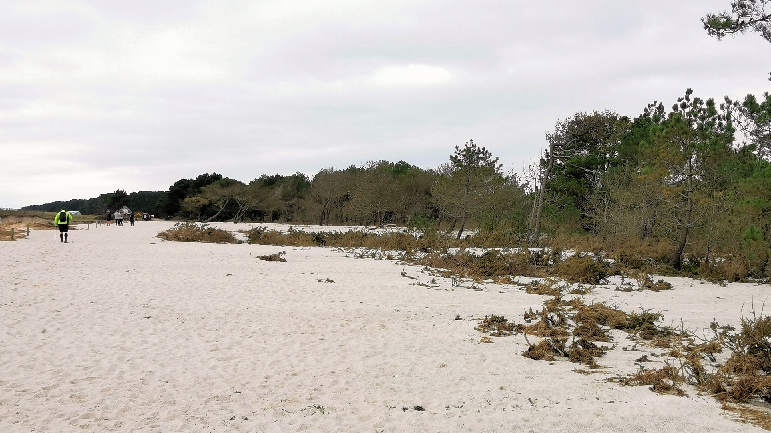 22-IMG_20210208_114500