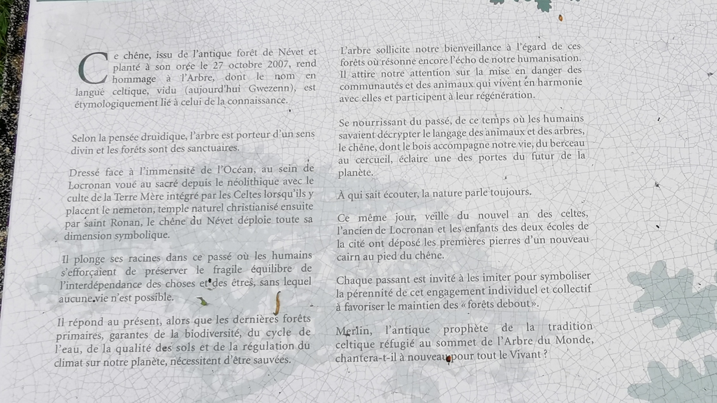 71-IMG_20210508_113241