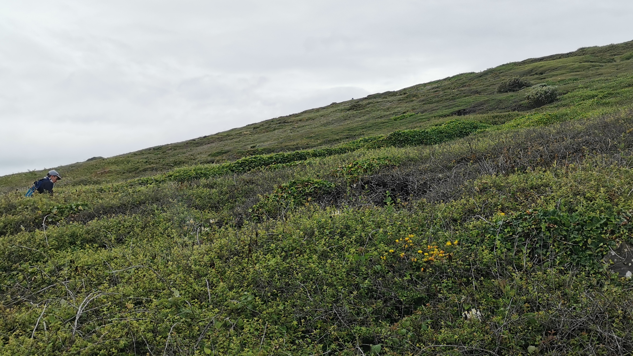 053-IMG_20210620_100944