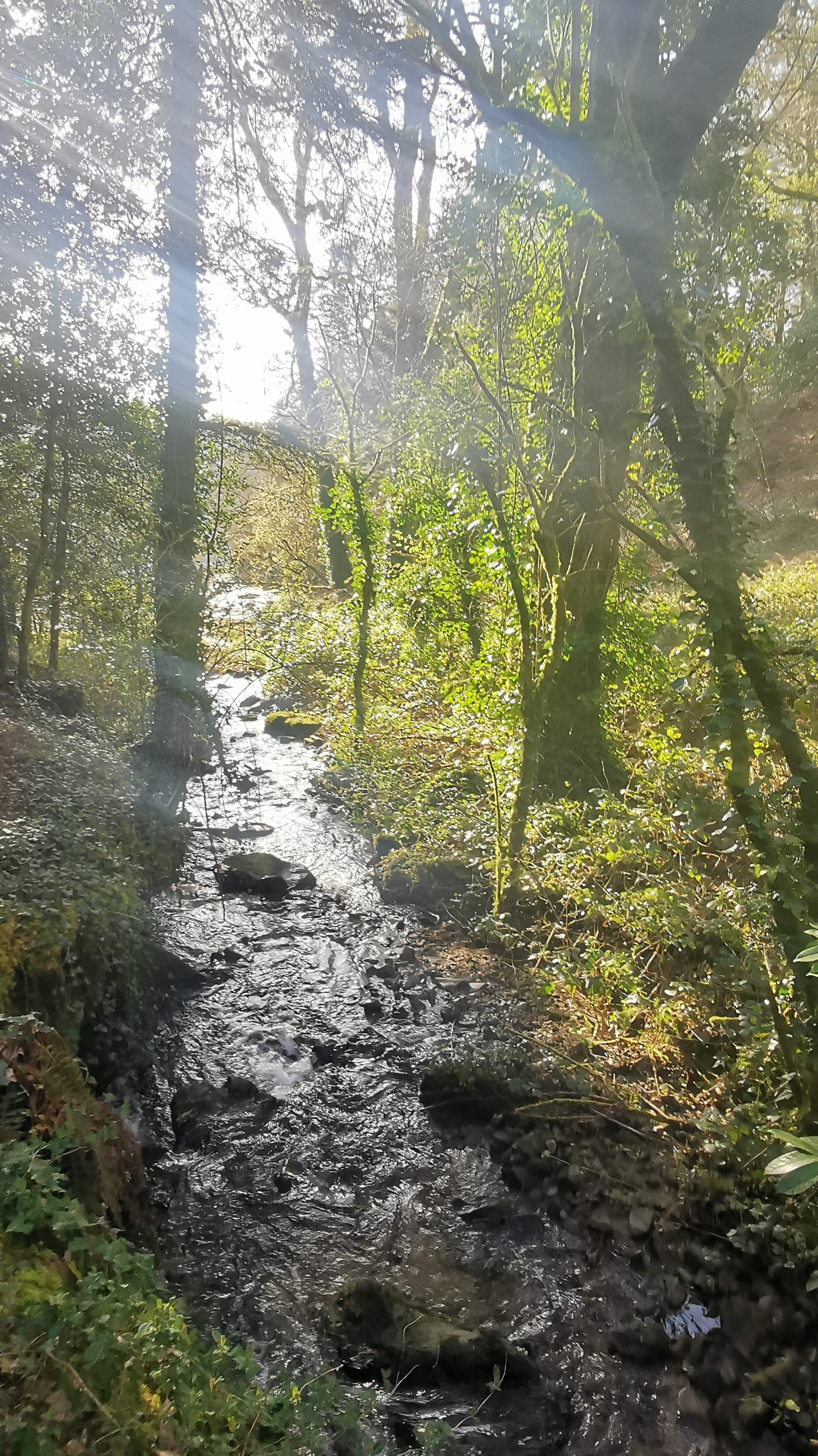 06-IMG_20210318_094149