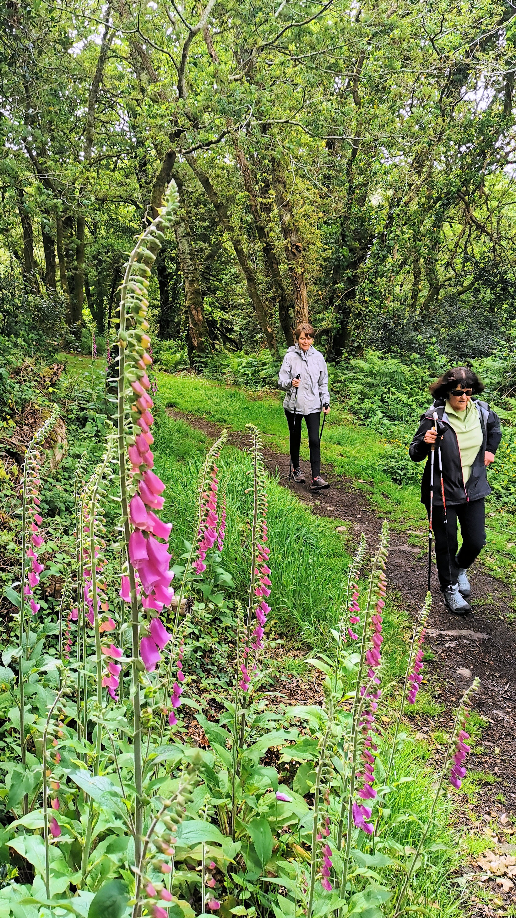 45-IMG_20210522_112243