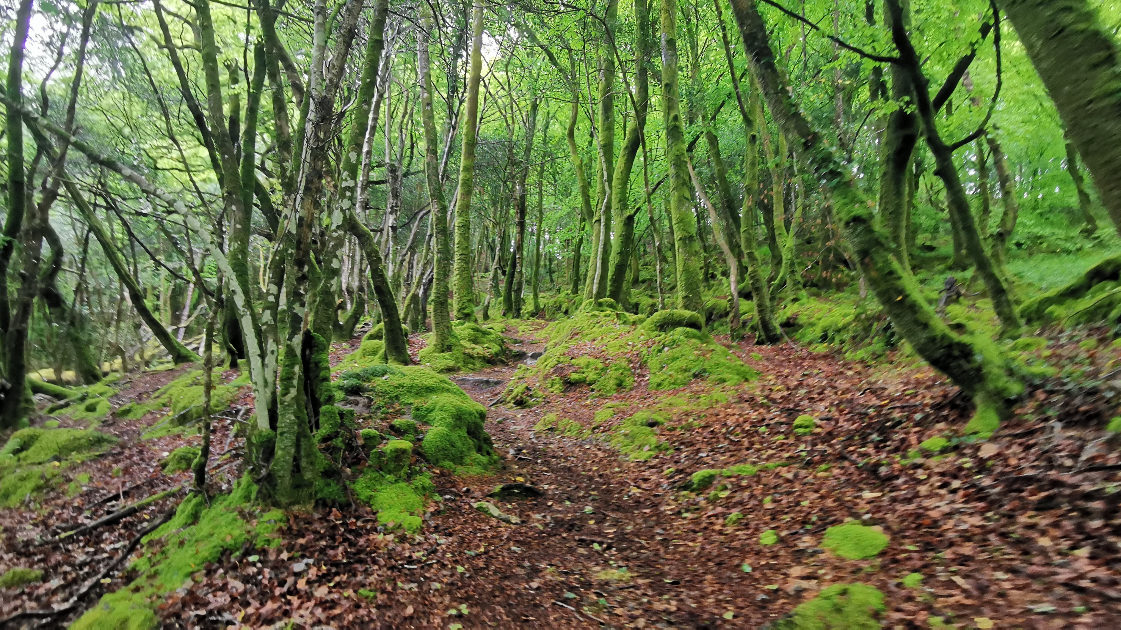 077-IMG_20210513_105353_1