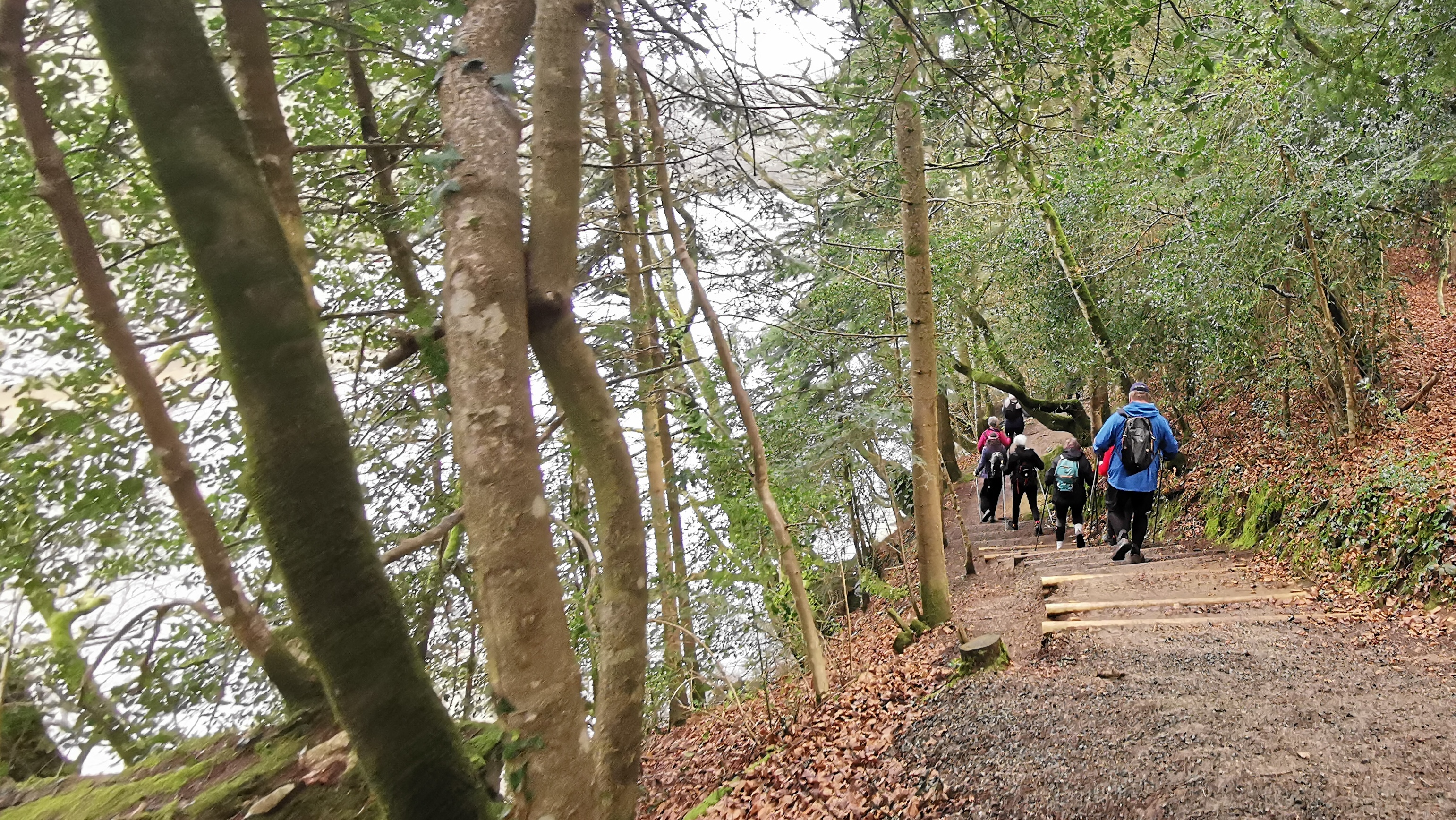 46-IMG_20210311_110016