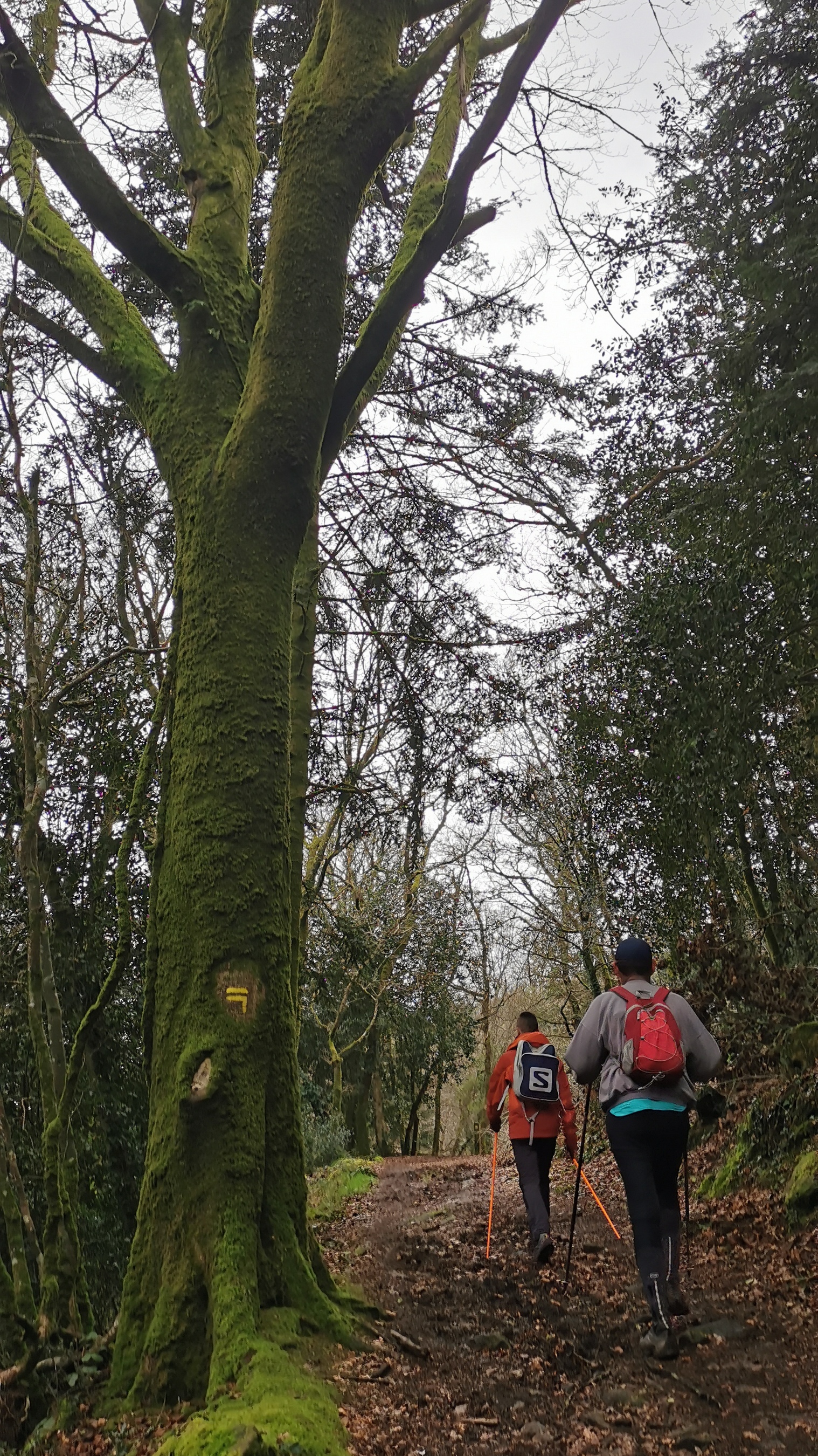 131-IMG_20210220_122233