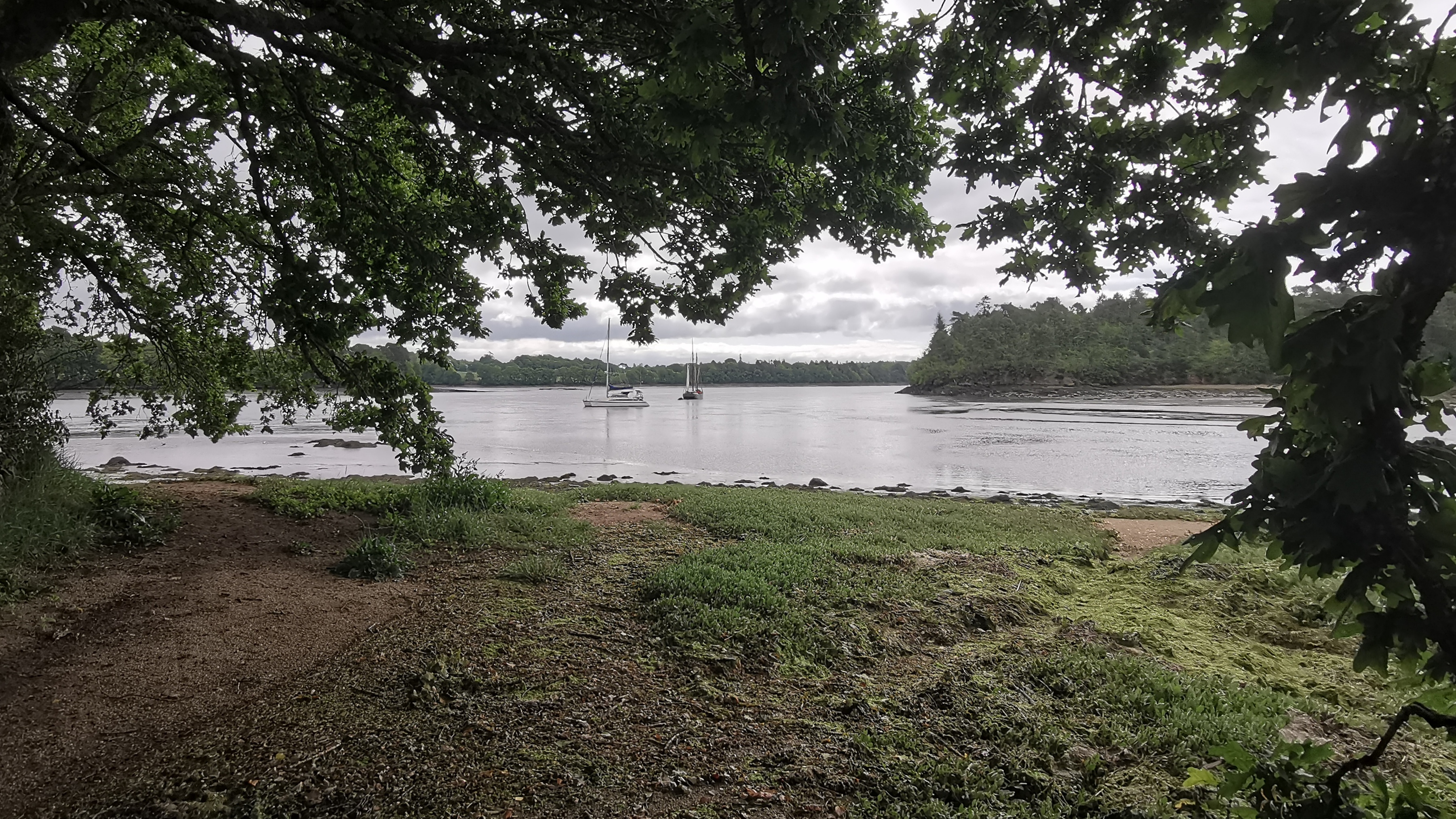 29-IMG_20210527_103418