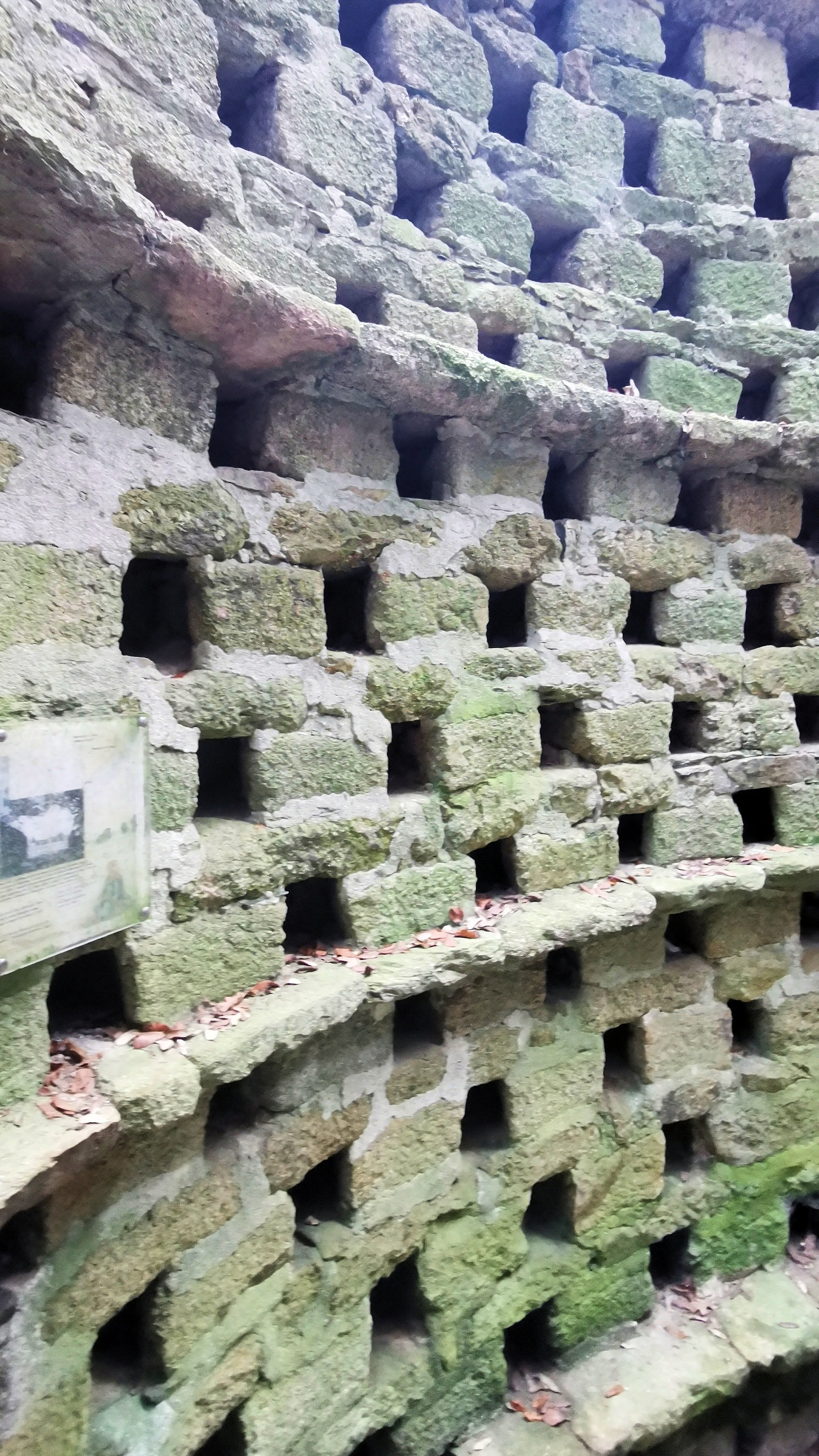 31-IMG_20210118_114834