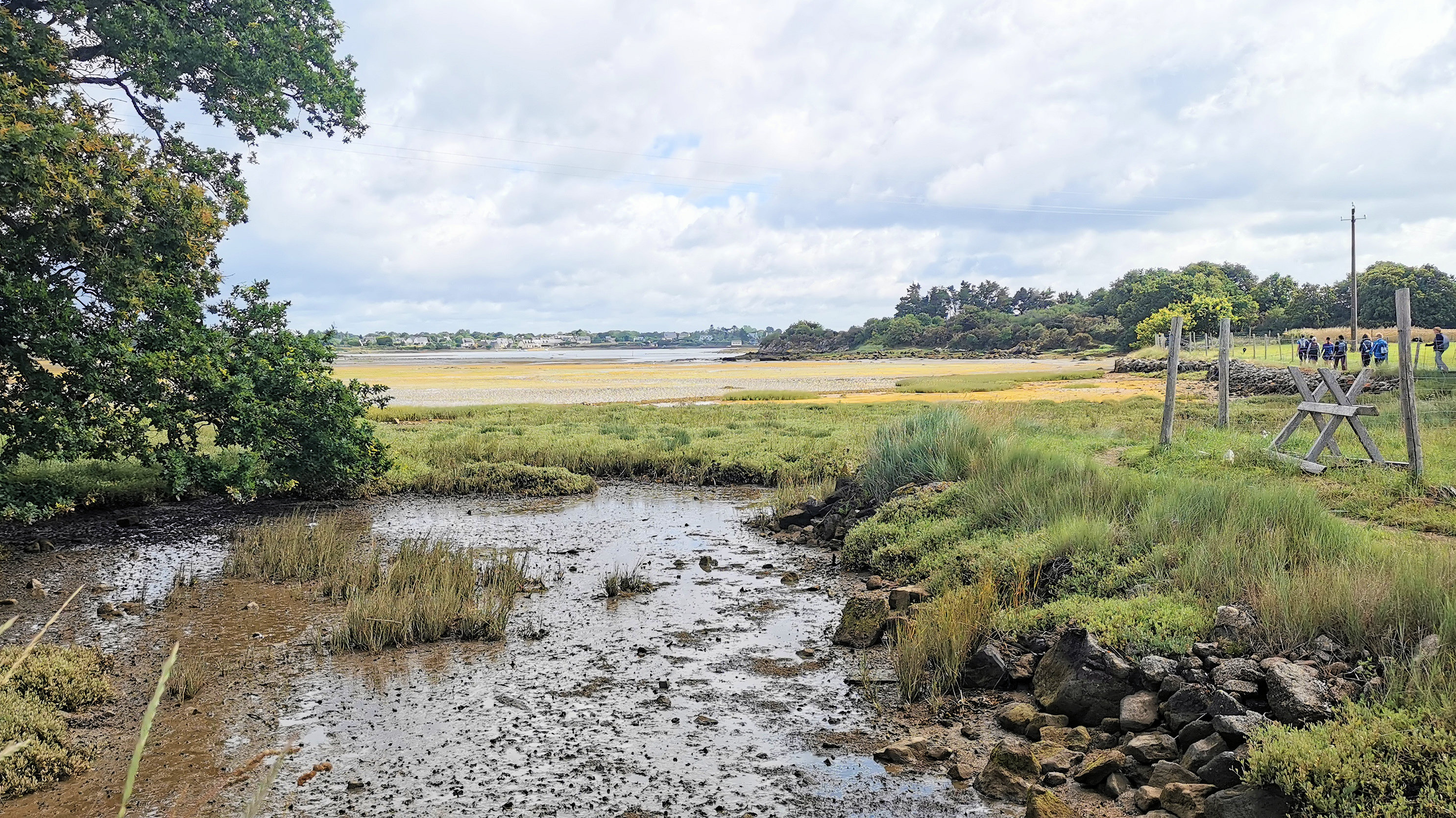 070-IMG_20210704_103937