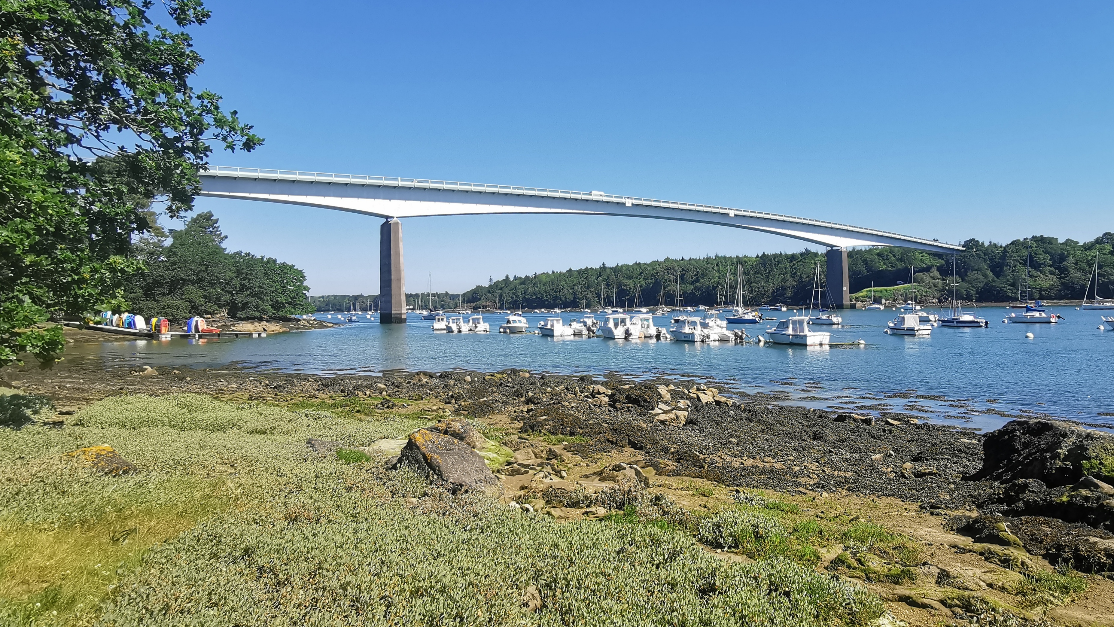 33-IMG_20210614_112411