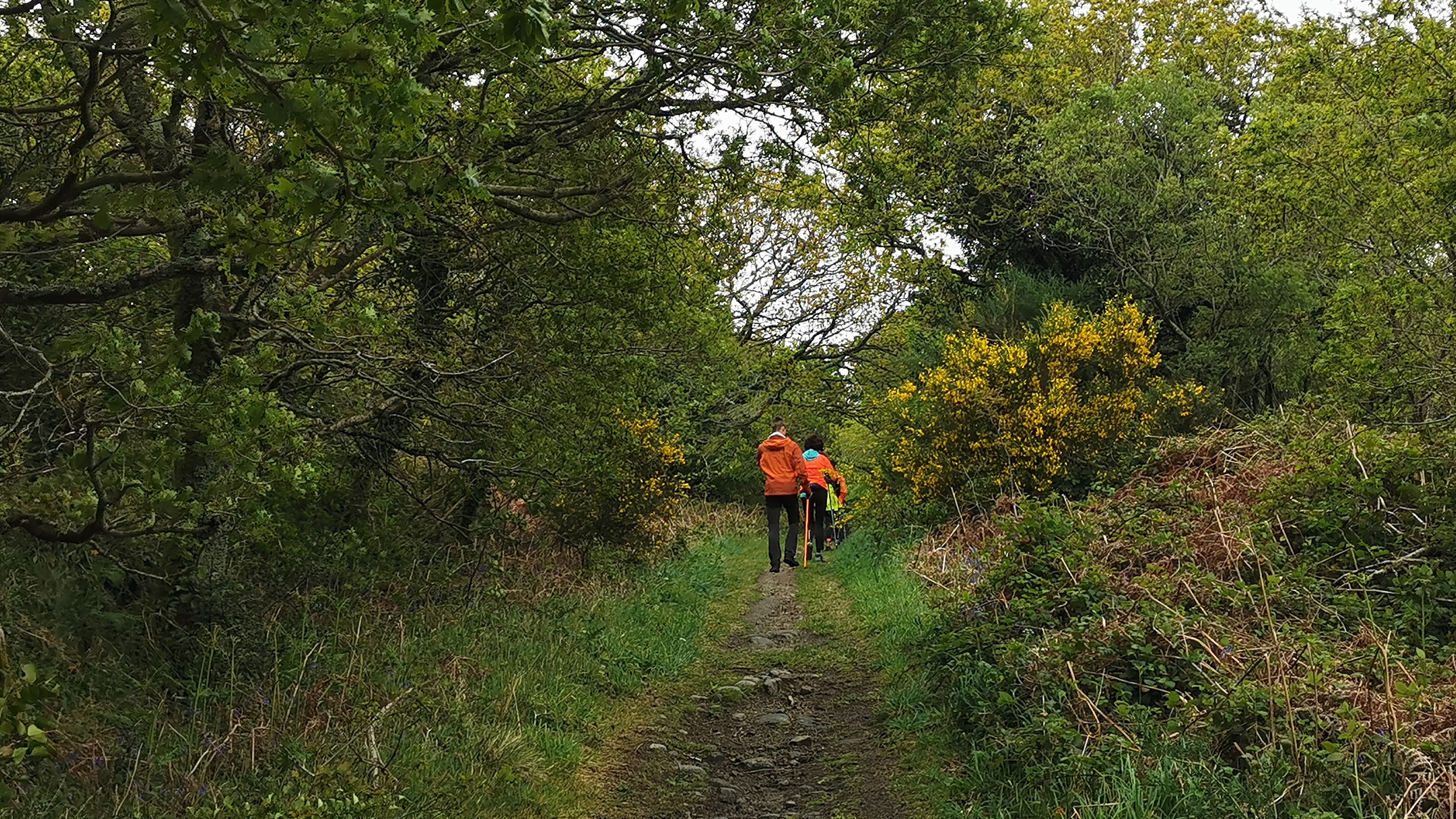 58-IMG_20210508_112246