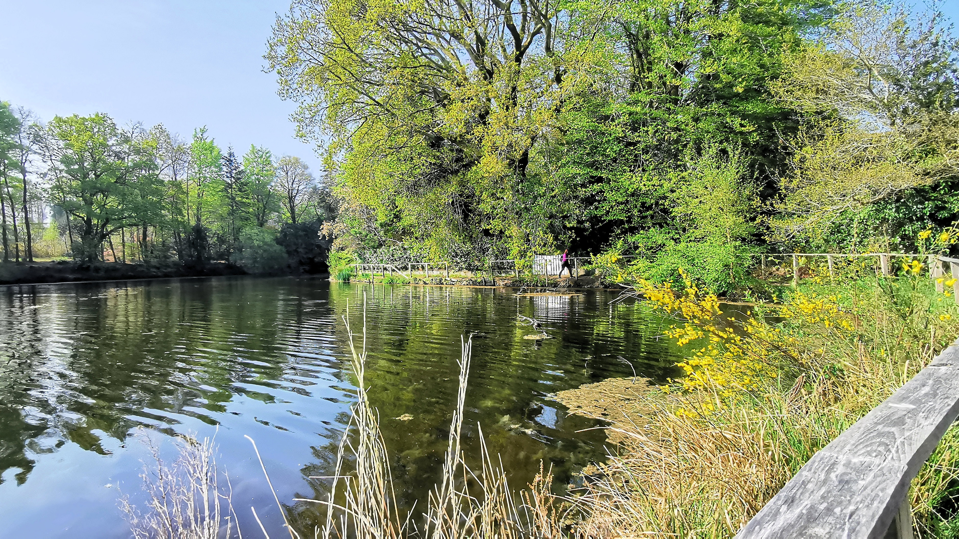 40-IMG_20210422_110819