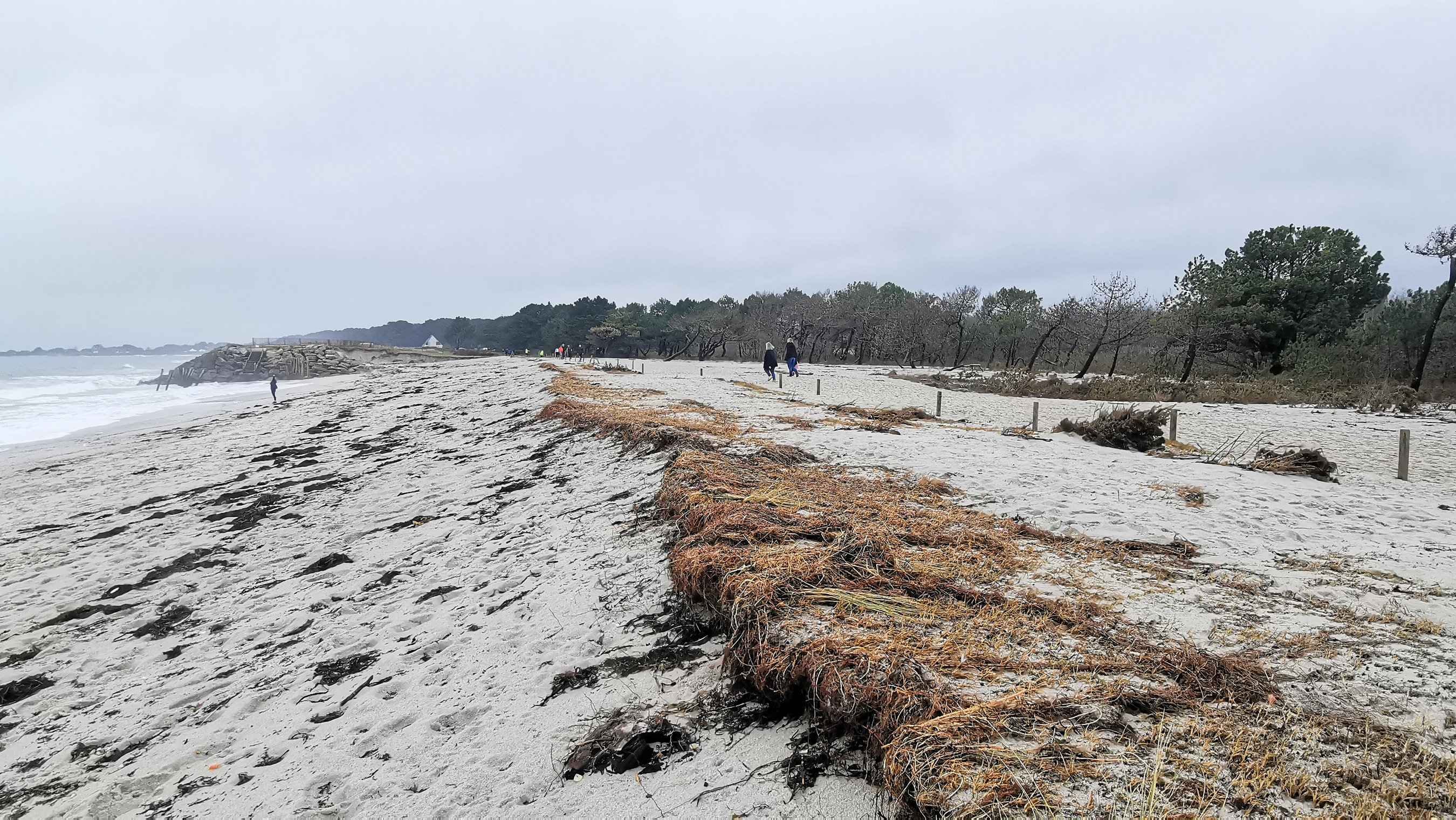 44-IMG_20210221_113224_1