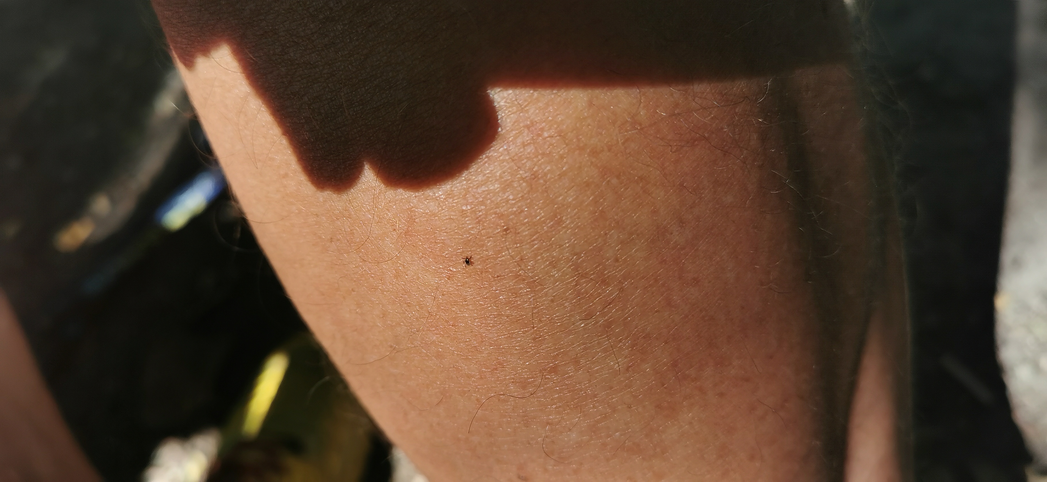 07-IMG_20210615_105322