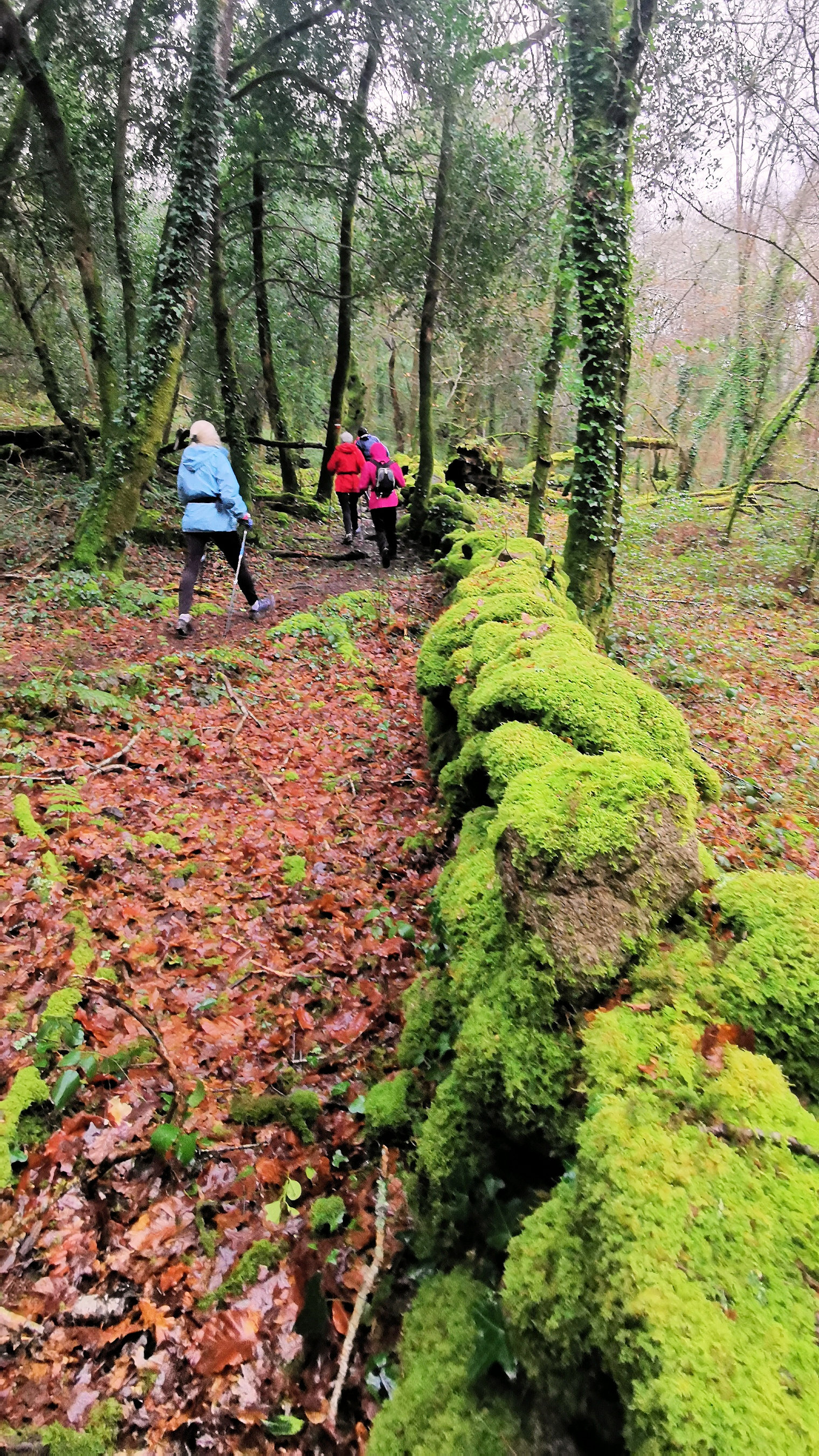 41-IMG_20210121_104103