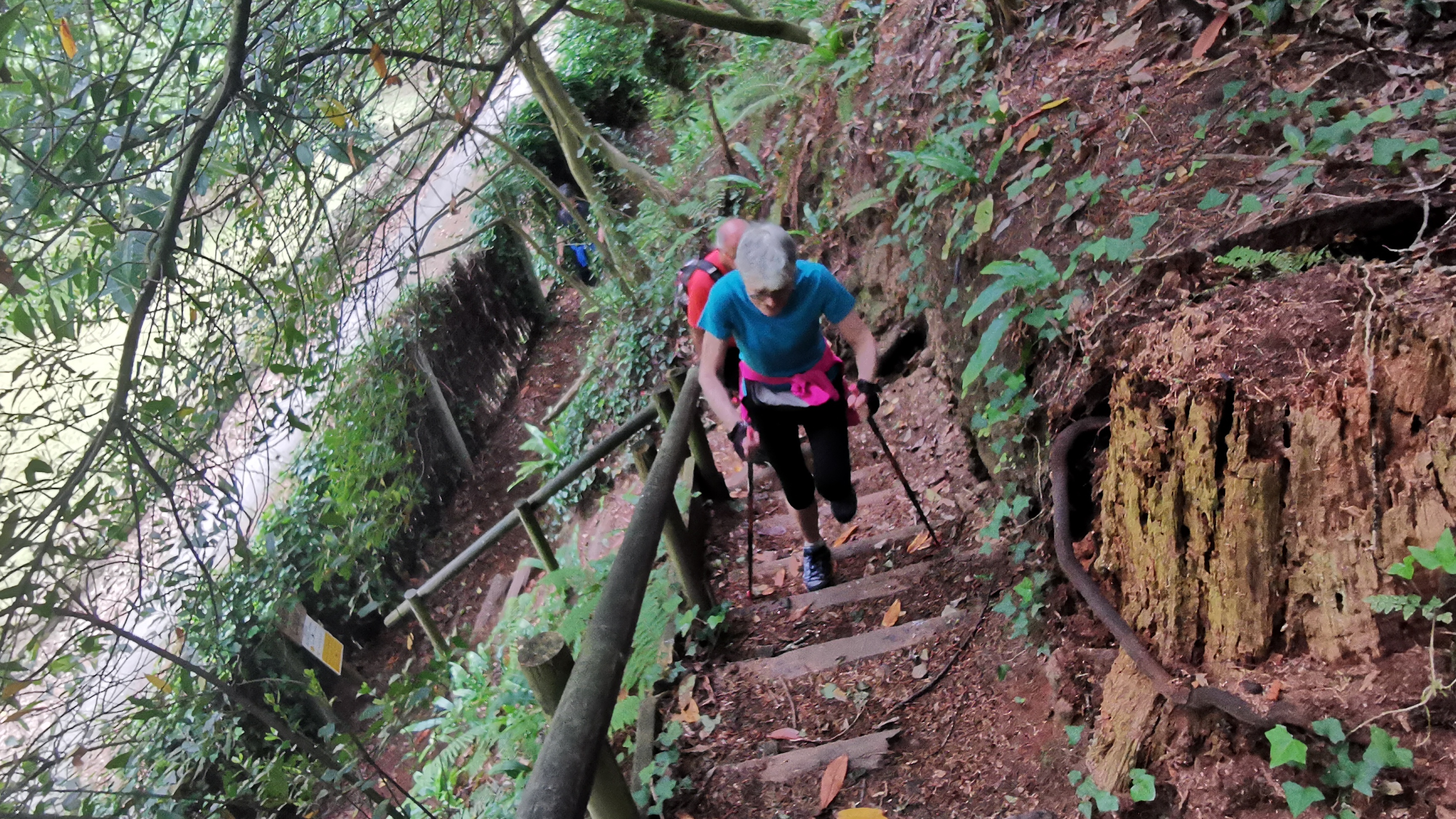 086-IMG_20210606_111754_1