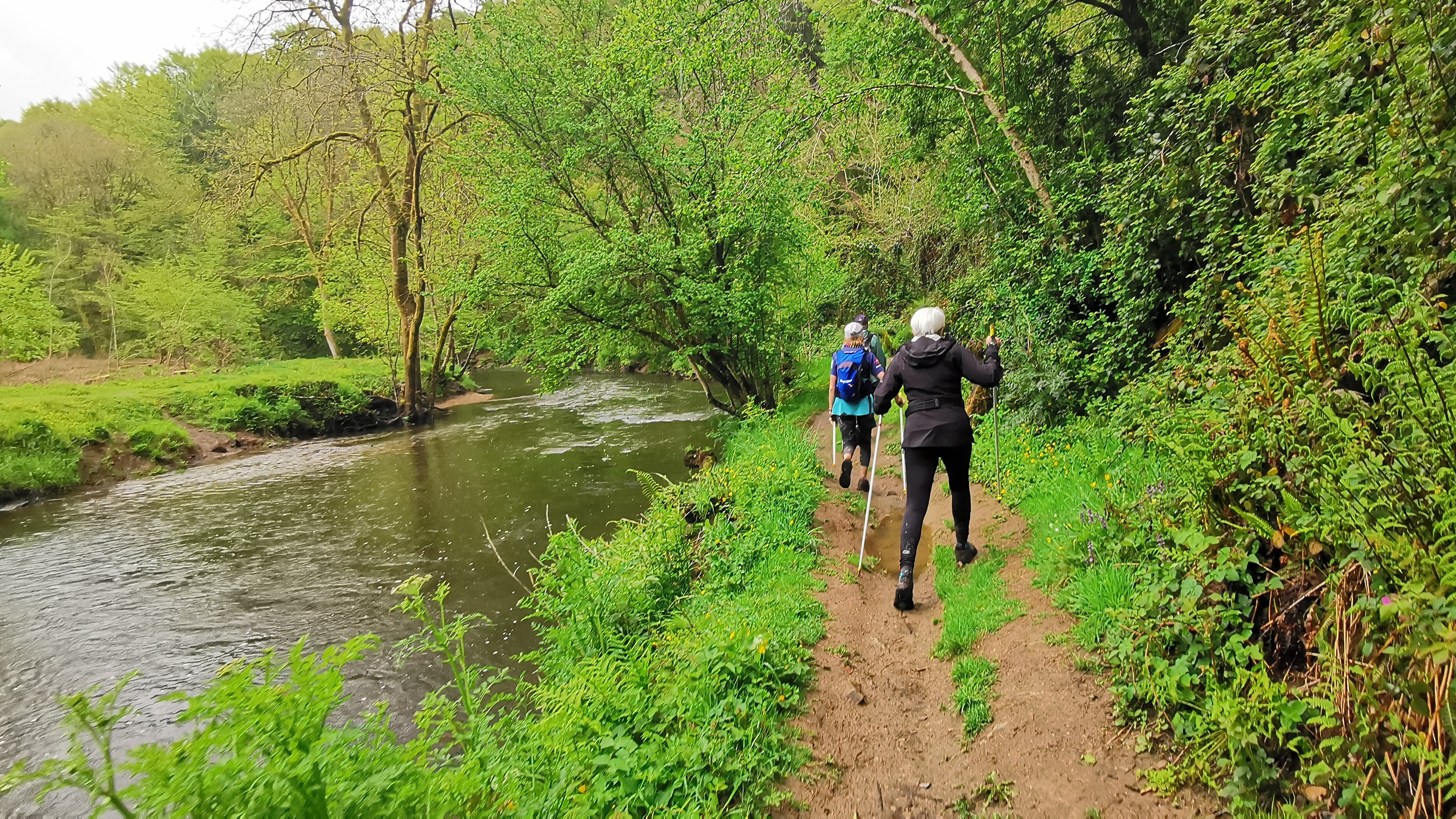 101-IMG_20210513_111911_1