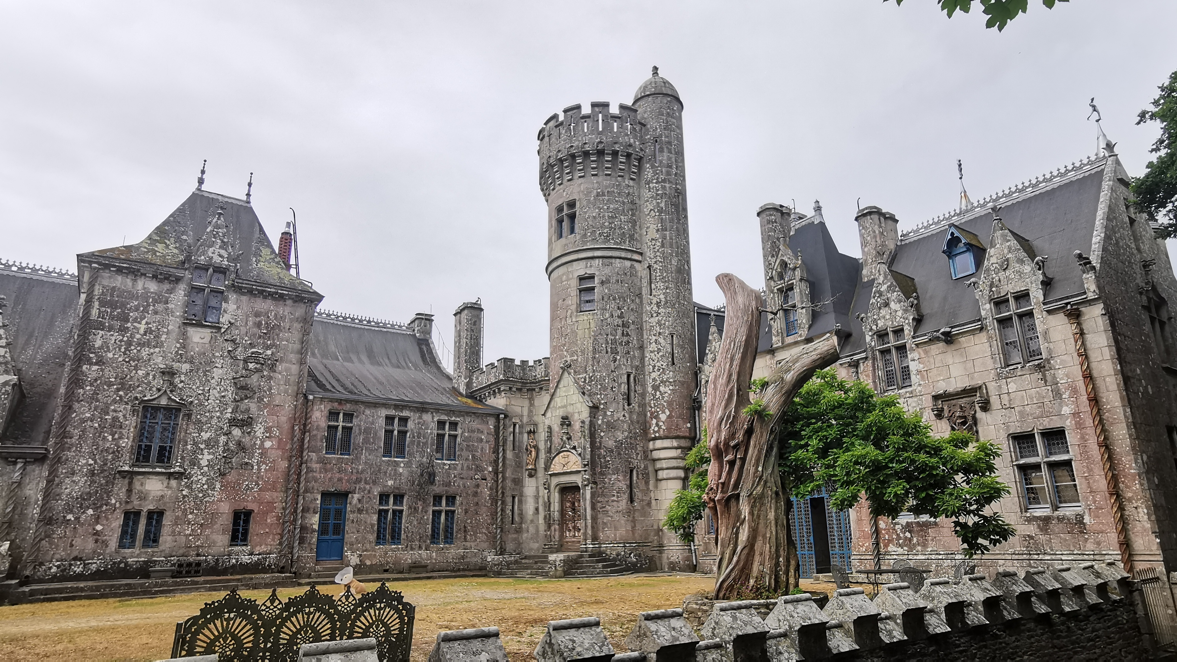 076-IMG_20210606_110316