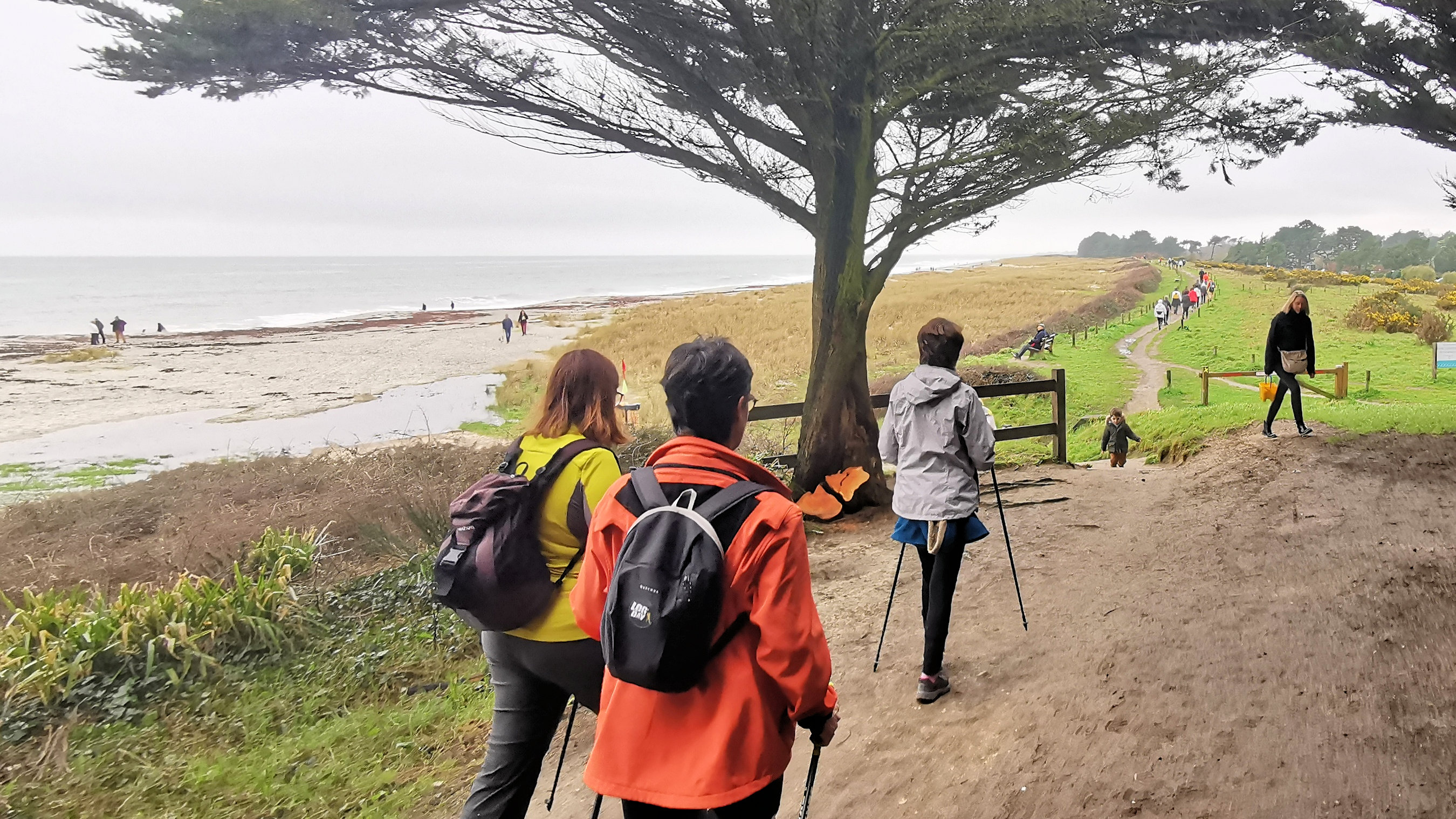 36-IMG_20210221_110836