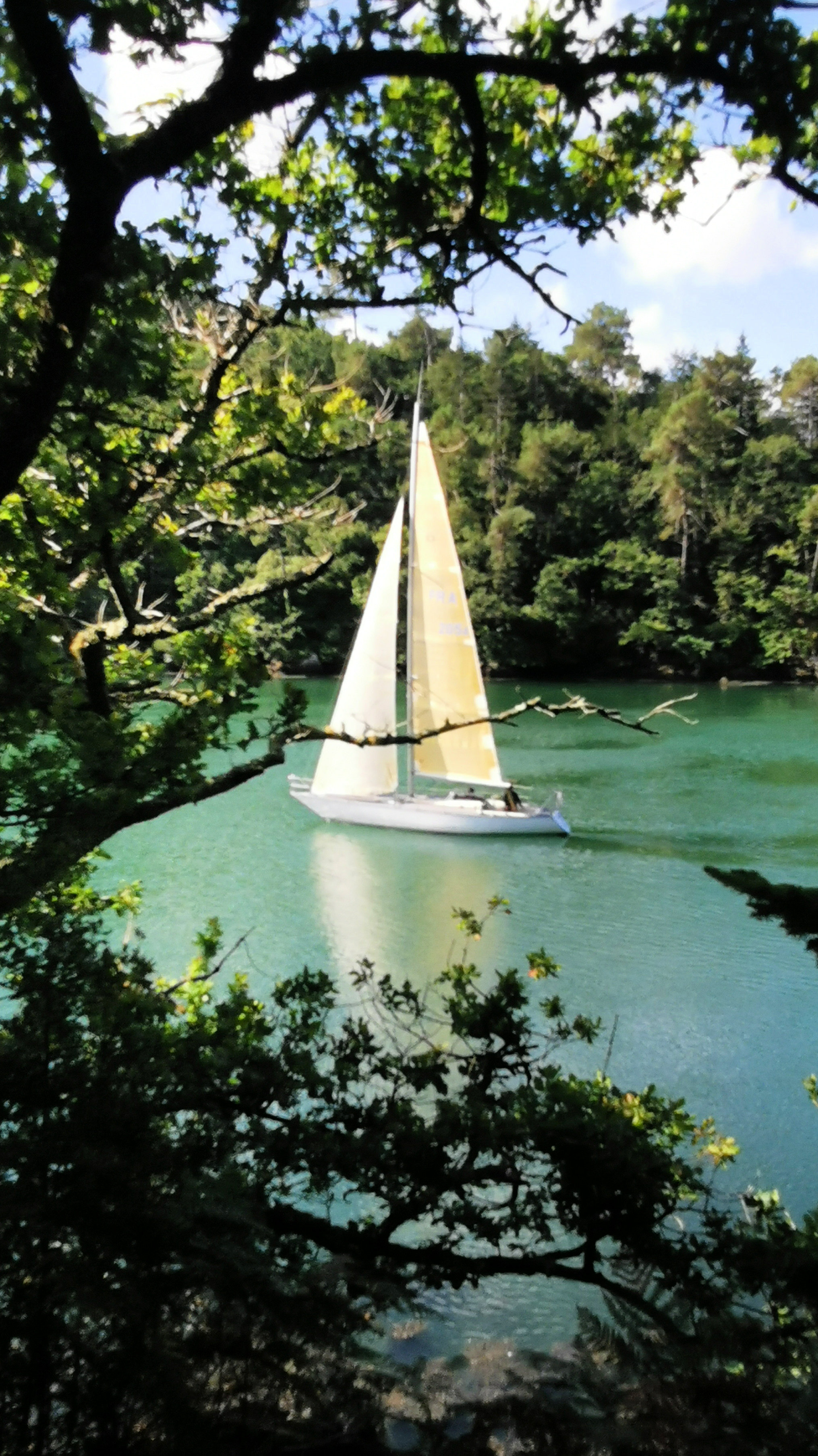 028-IMG_20210816_113236