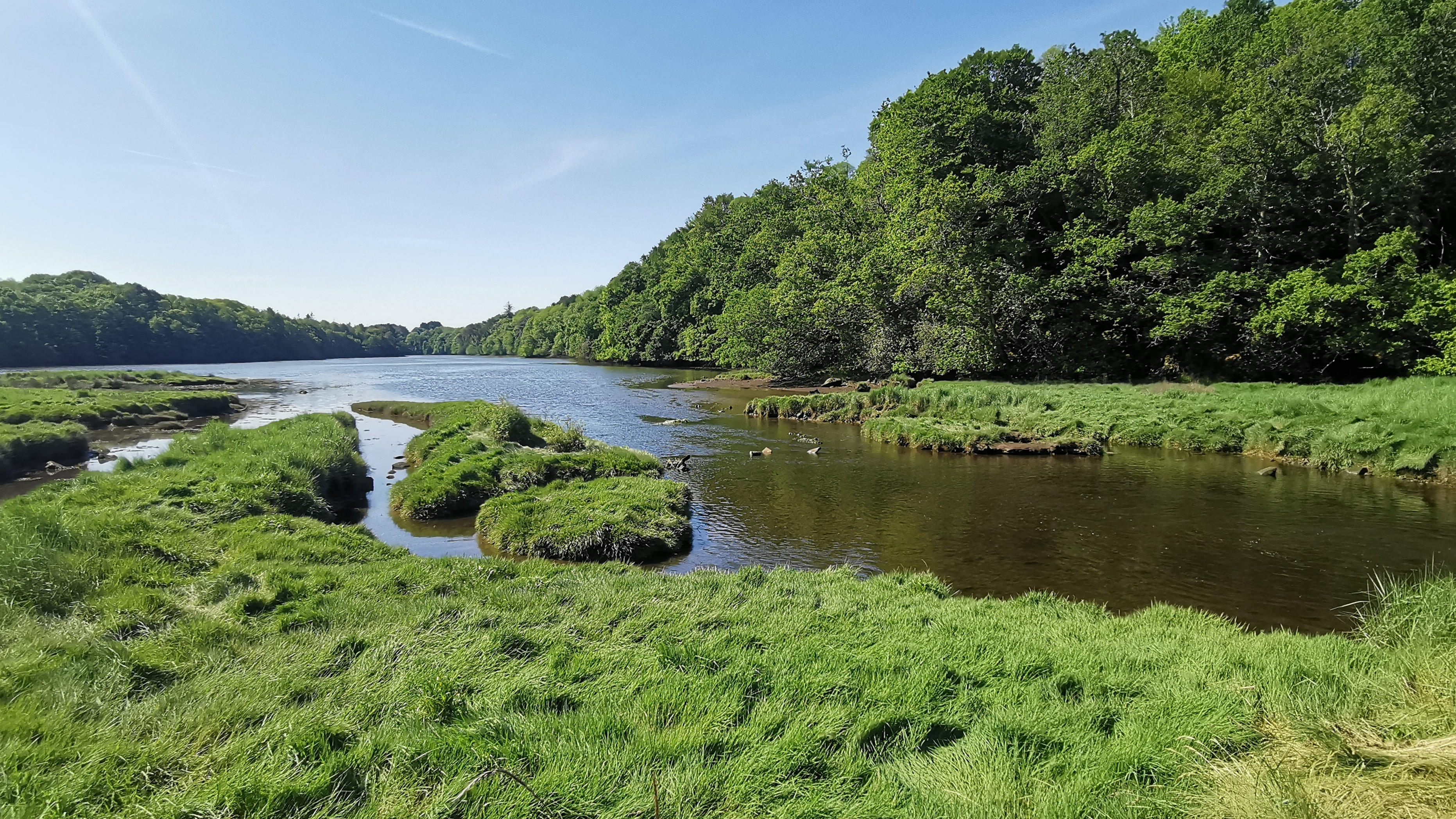 40-IMG_20210531_105931