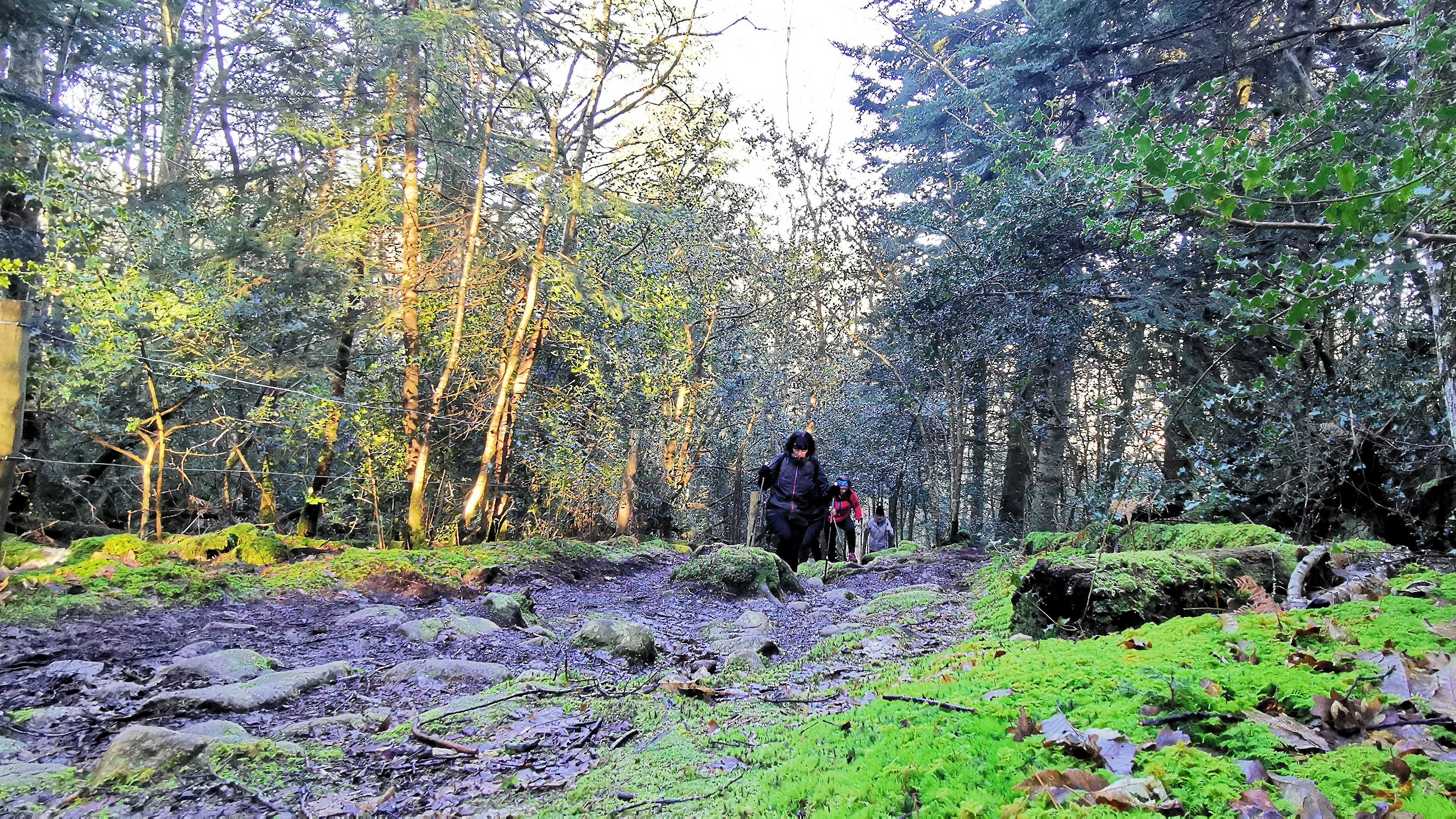 39-IMG_20210206_111158