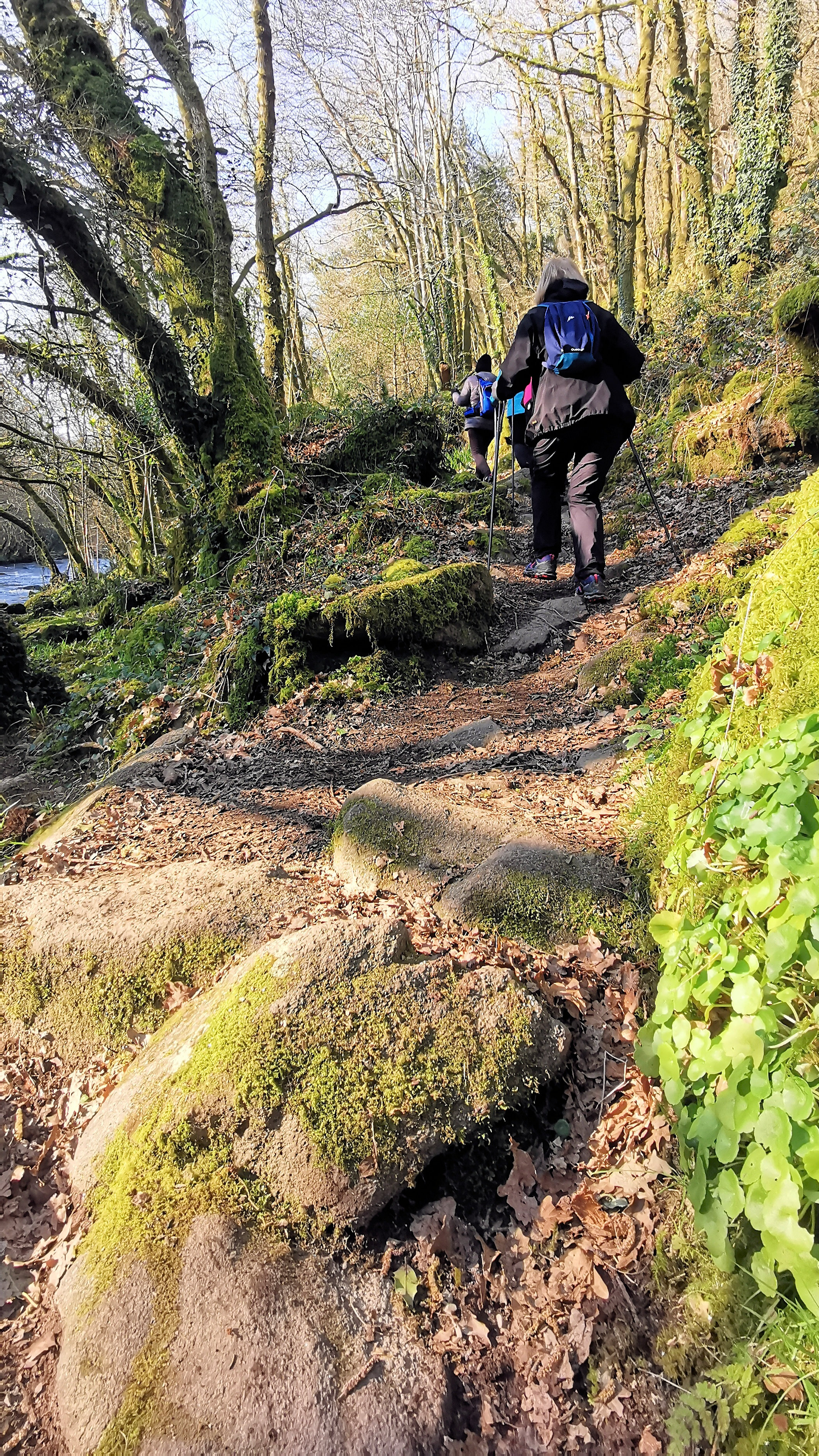 68-IMG_20210307_104801