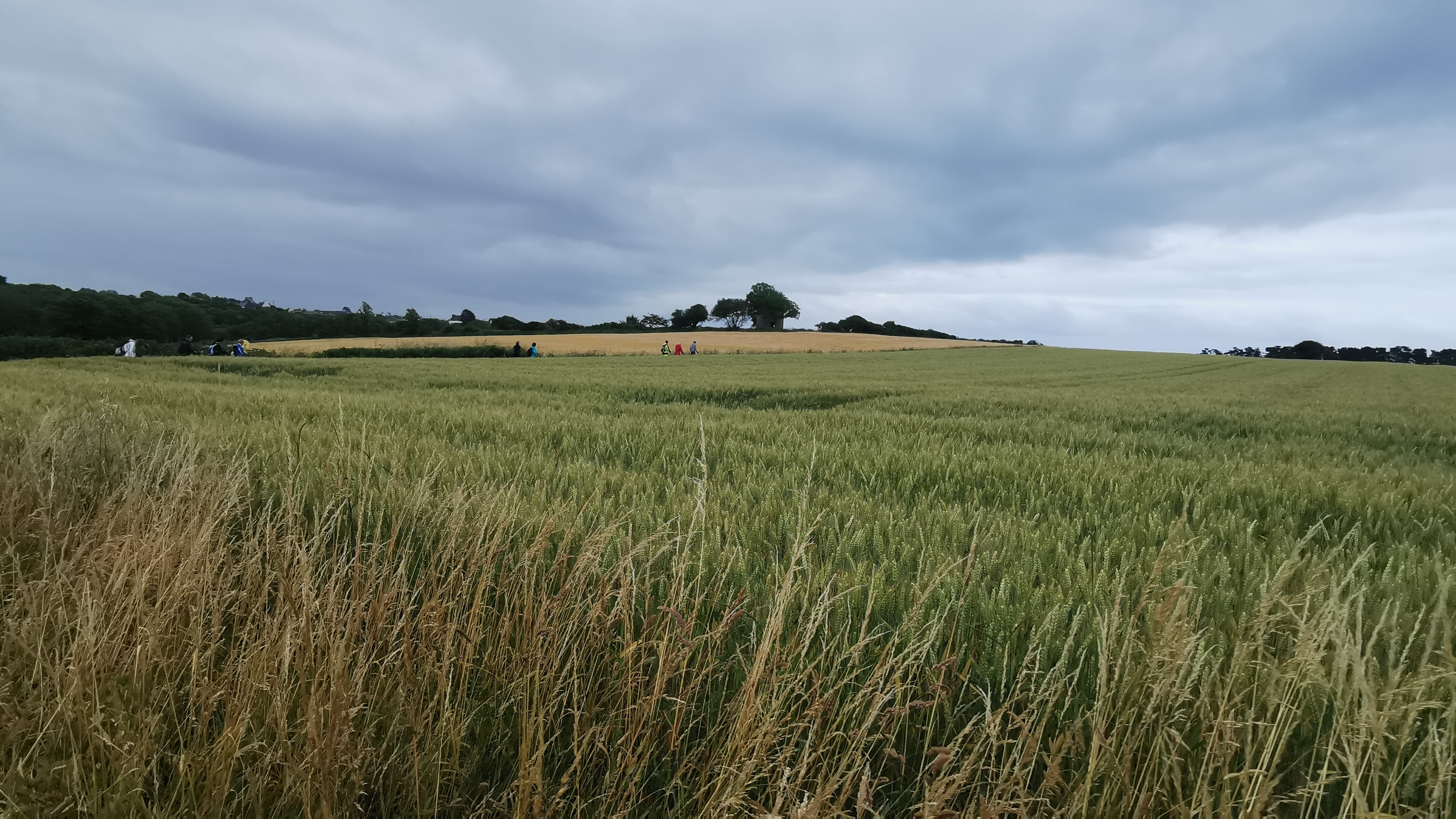 089-IMG_20210620_104820_1