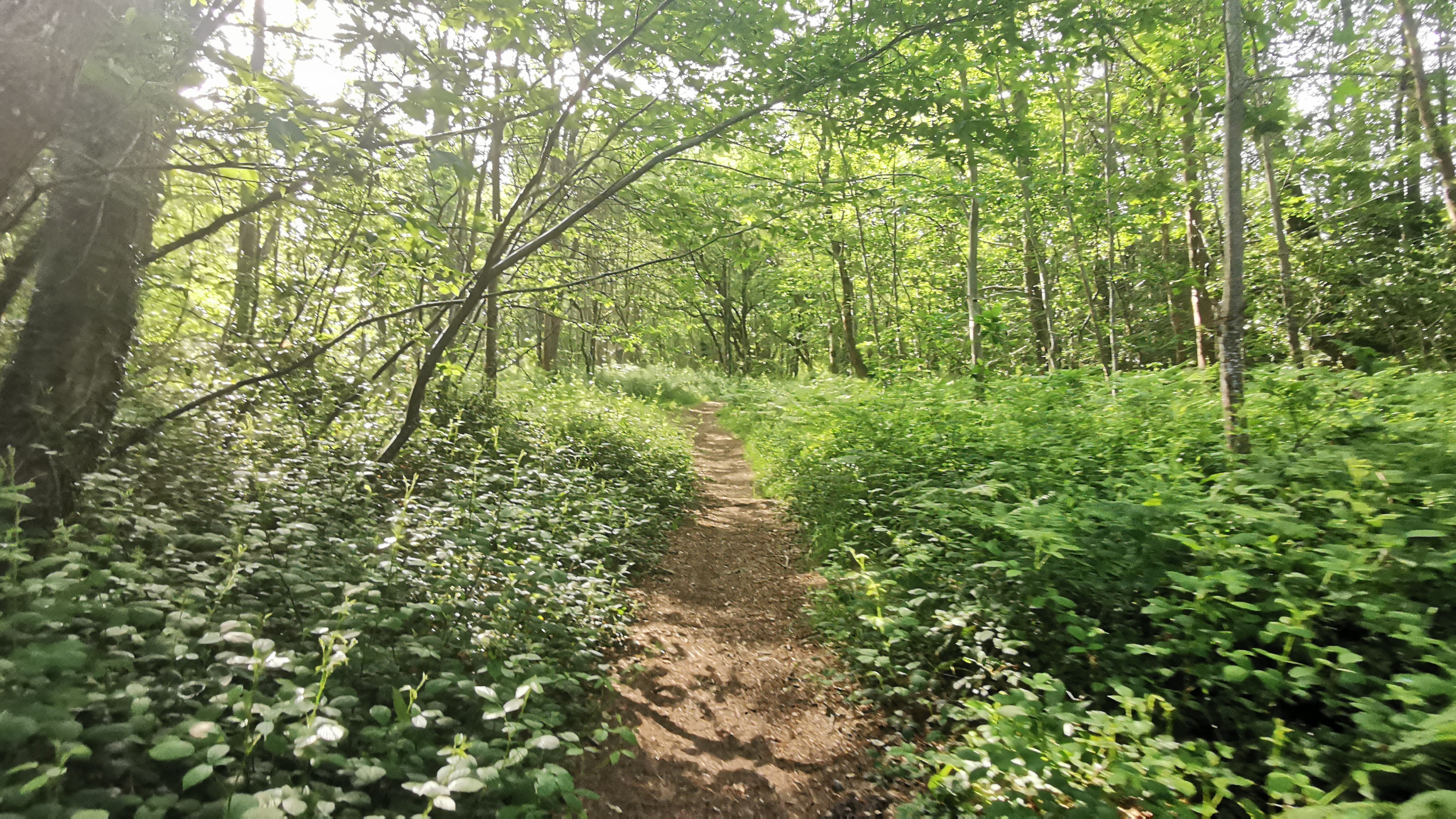 05-IMG_20210608_094648